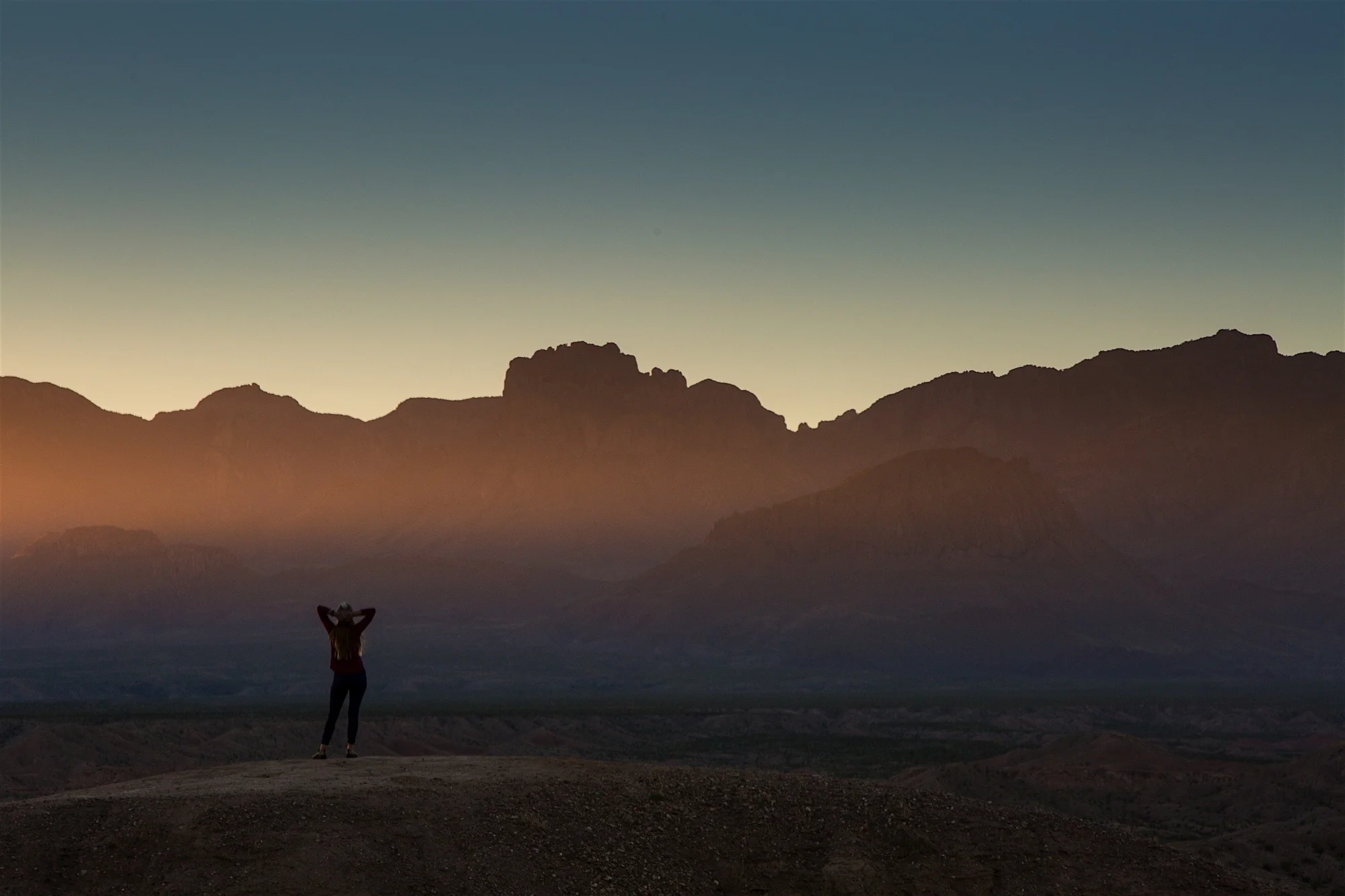 ARS_BBNP_20151118_3811