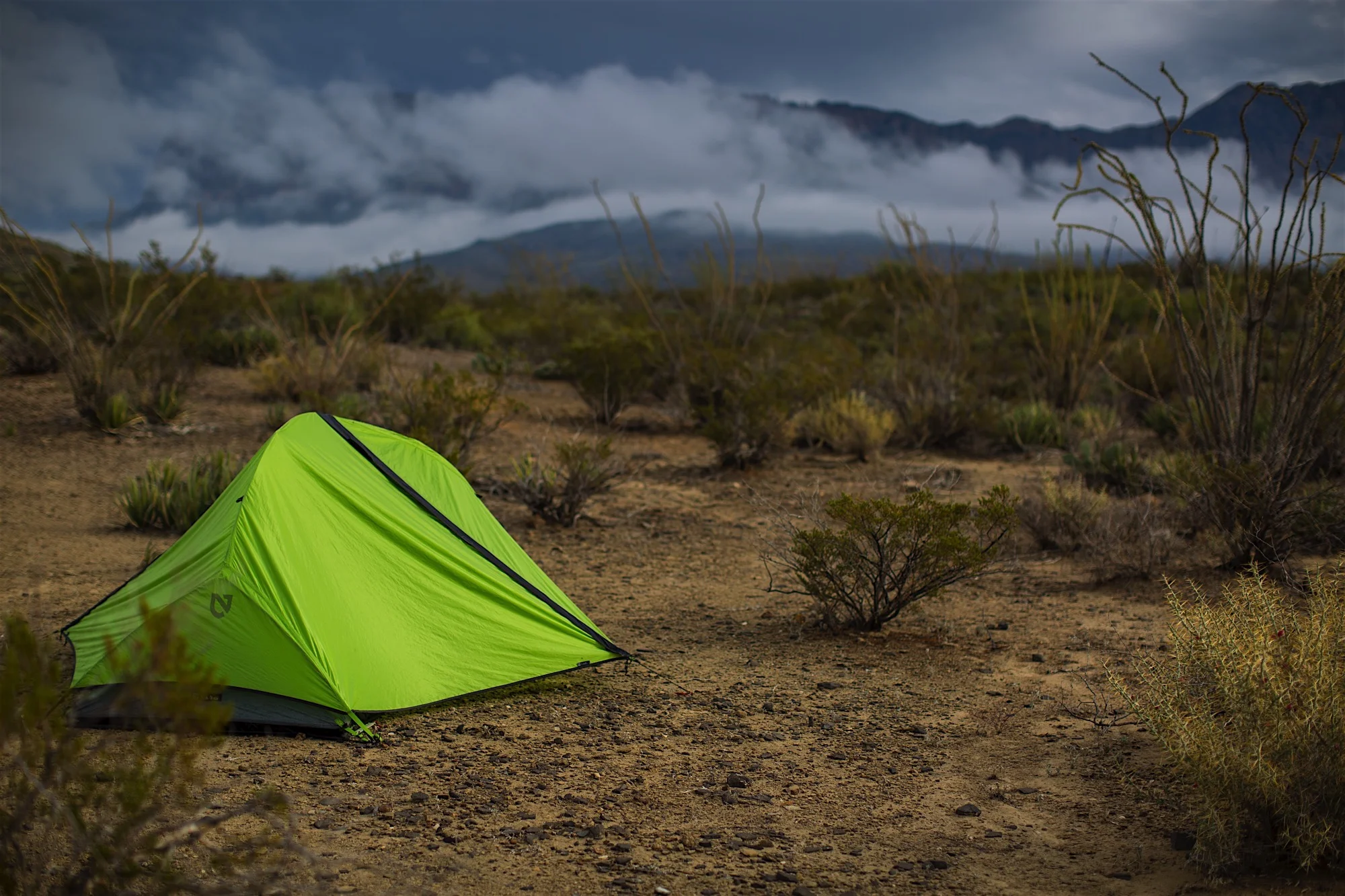 ARS_BBNP_20151114_0789