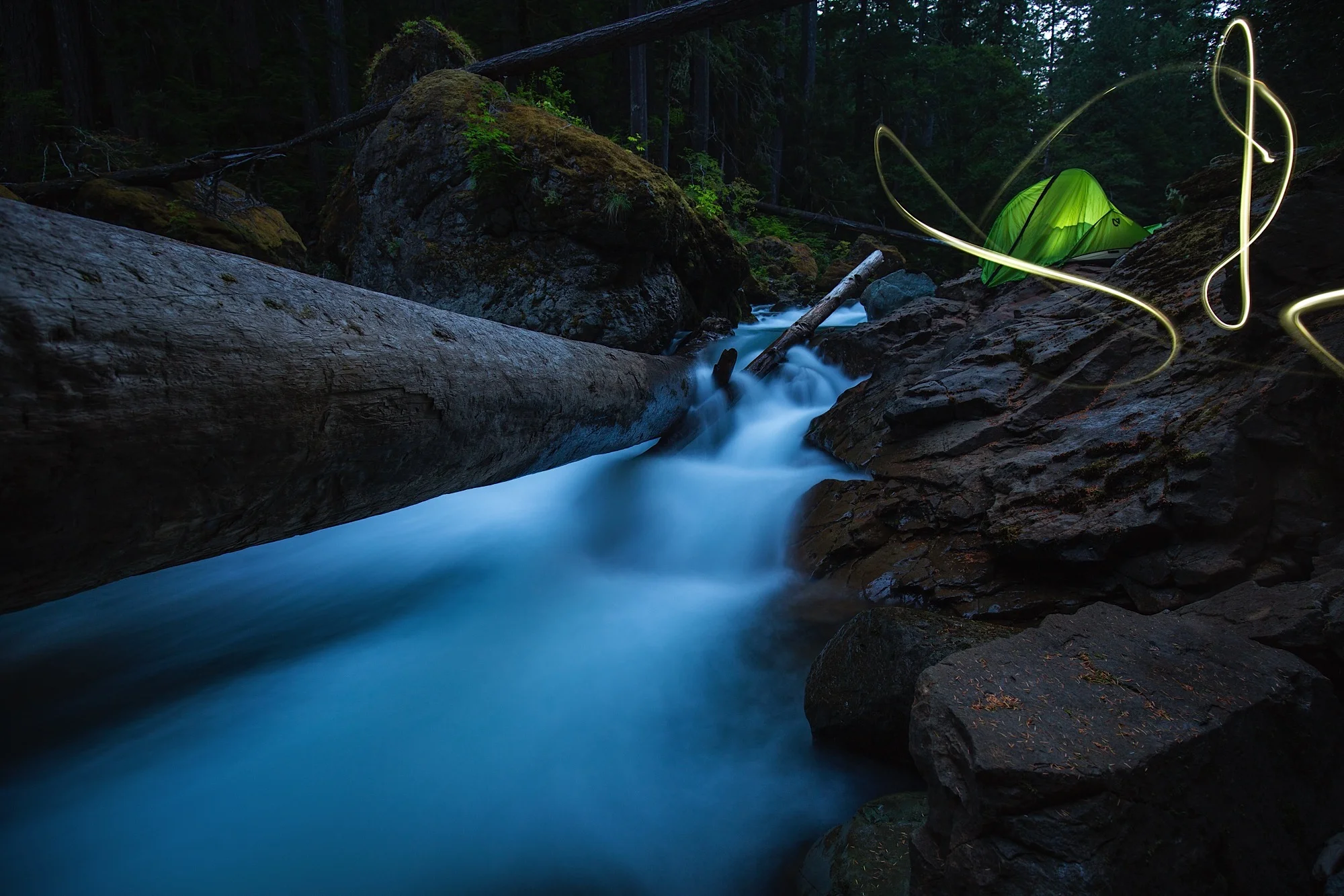 ARS_PNW_150813_6479