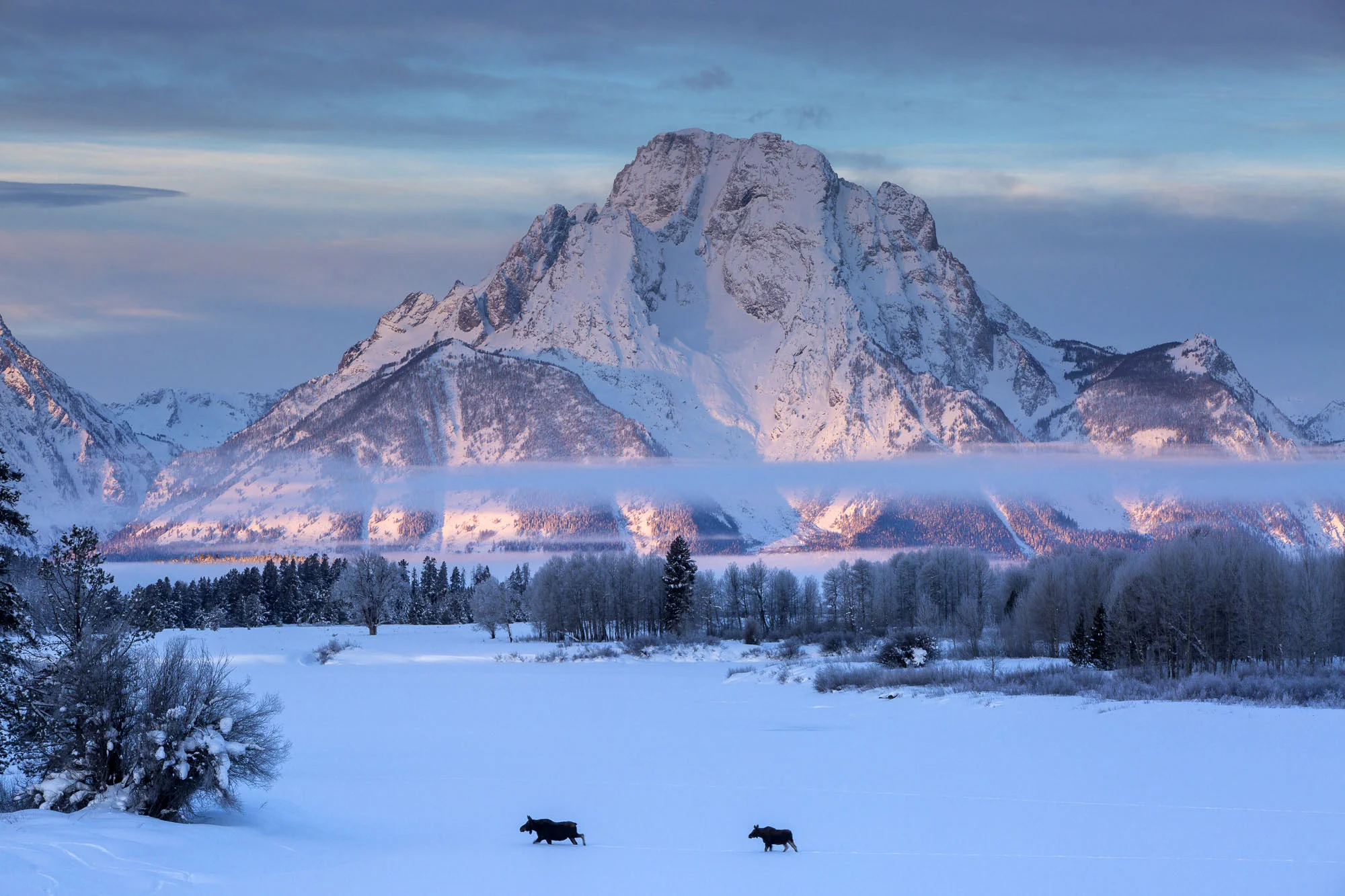 ARS_WY_20160122_1202.jpg