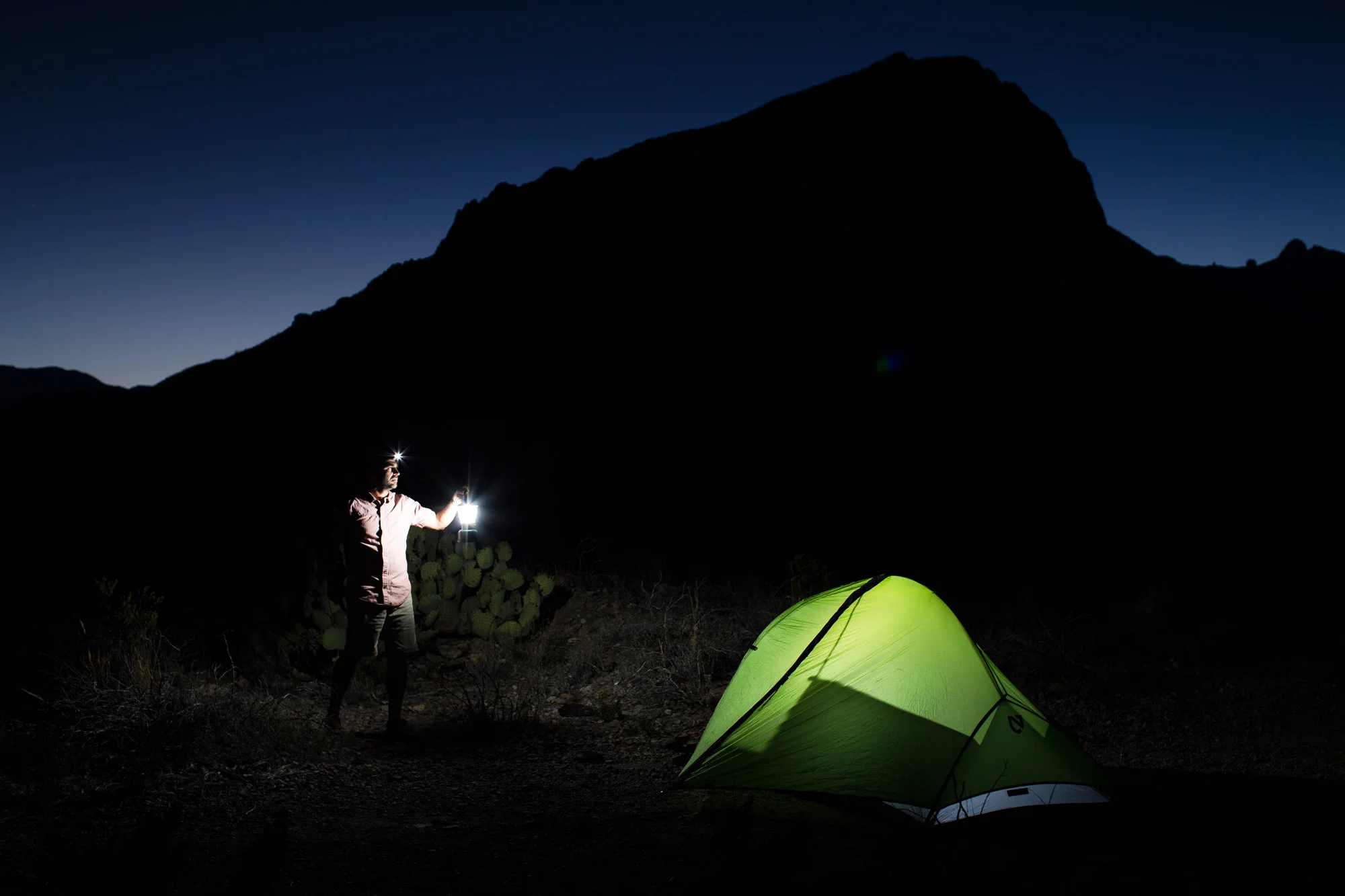 ARS_BBNP_160328_7653