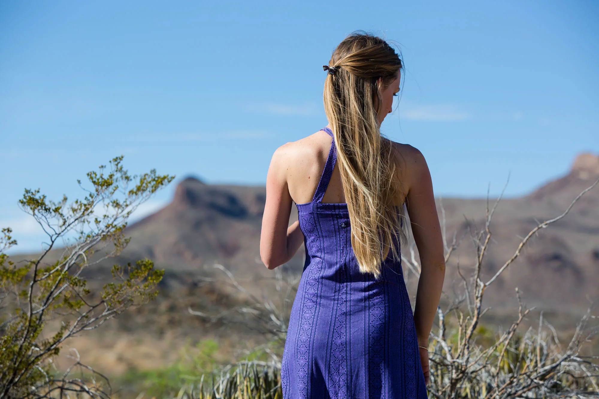 ARS_BBNP_160326_7358