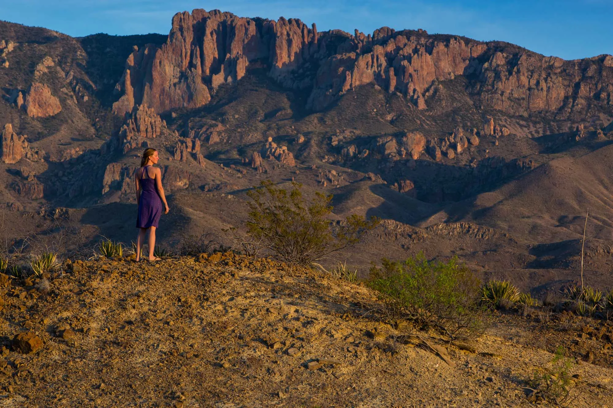 ARS_BBNP_160326_7669