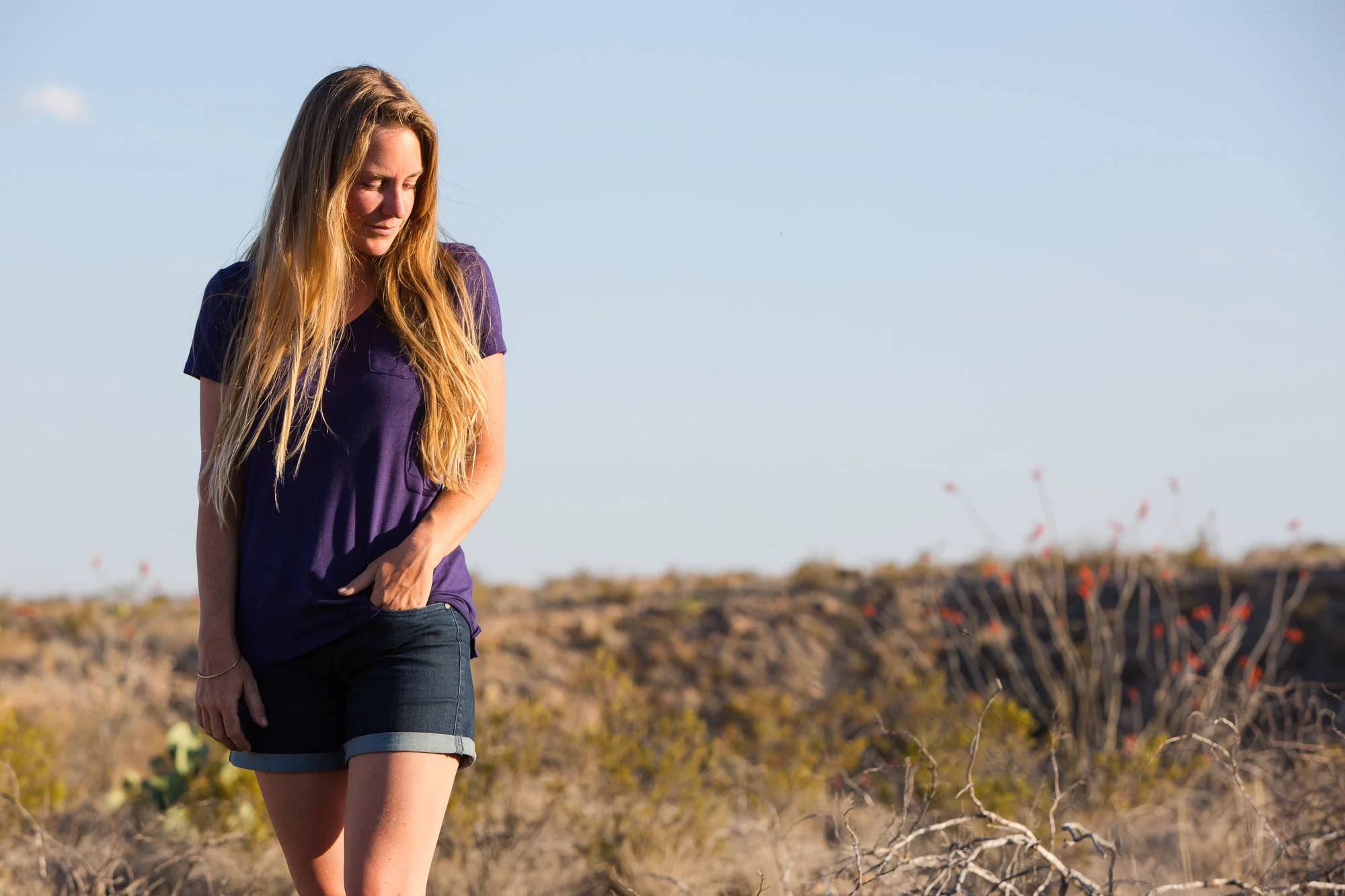ARS_BBNP_160328_8084