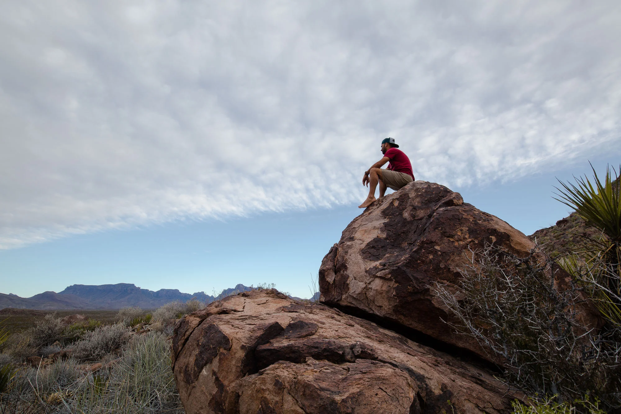 ARS_BBNP_160330_9117