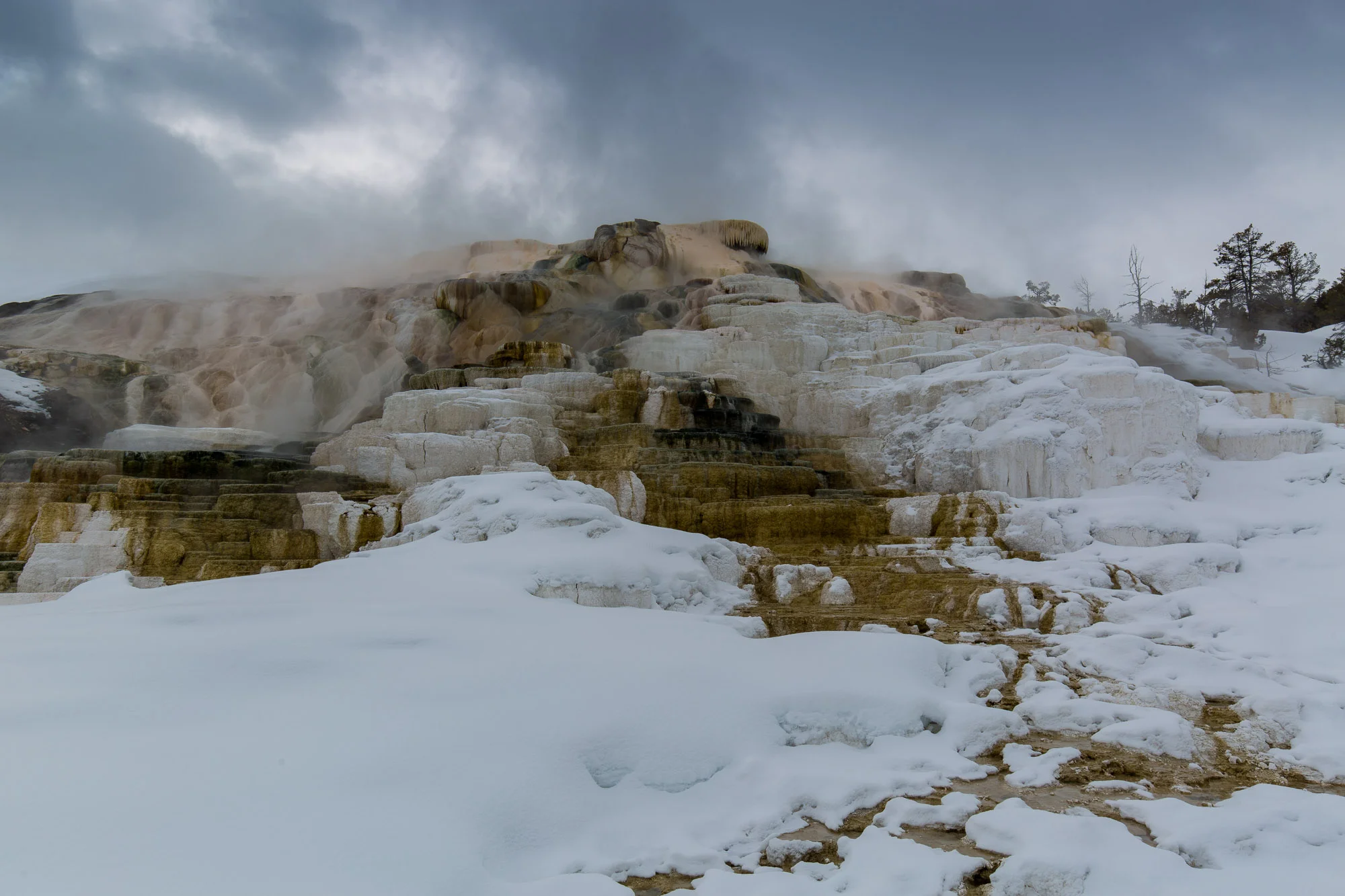 ARS_WY_20160120_0852.jpg