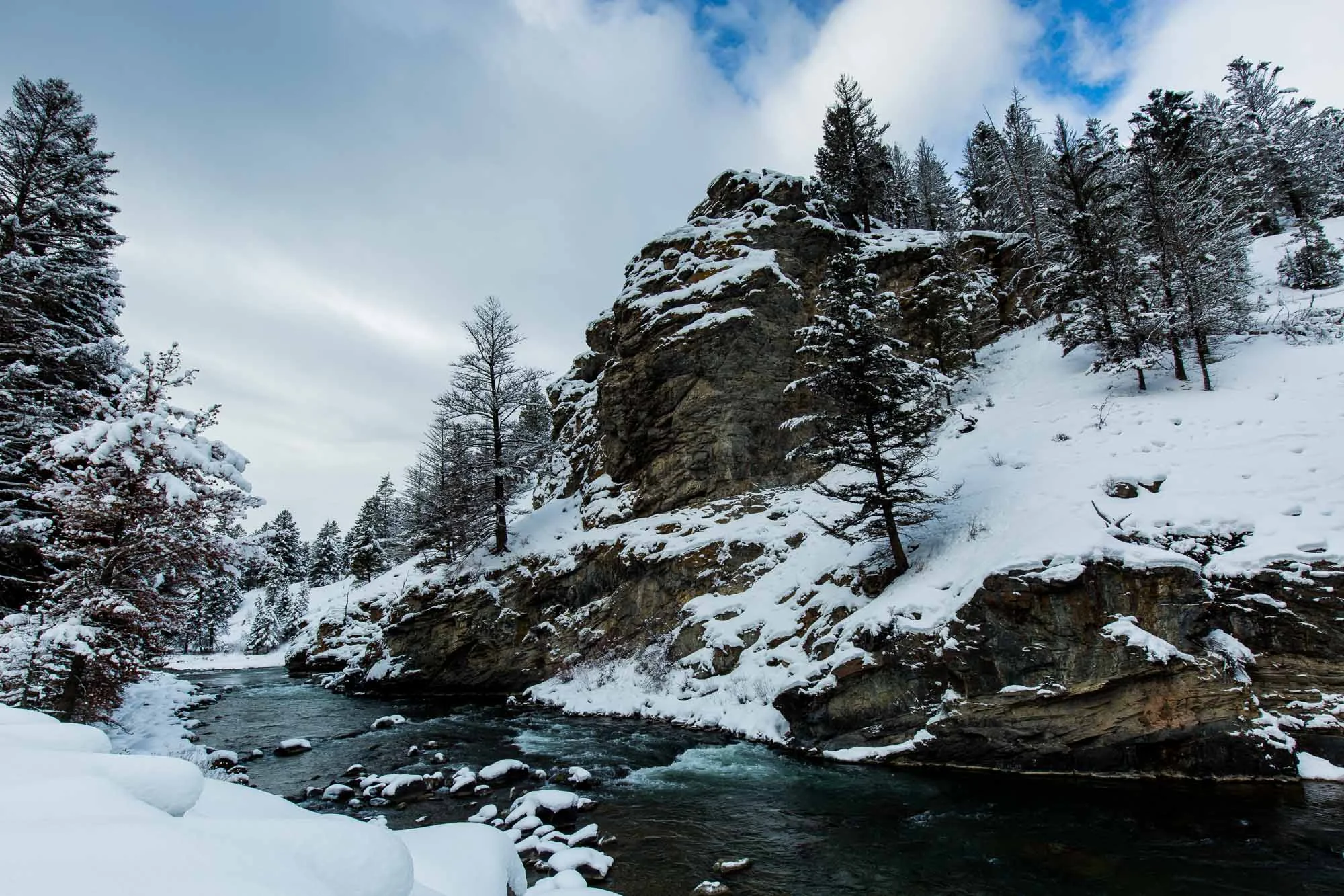 ARS_WY_20160121_1146.jpg