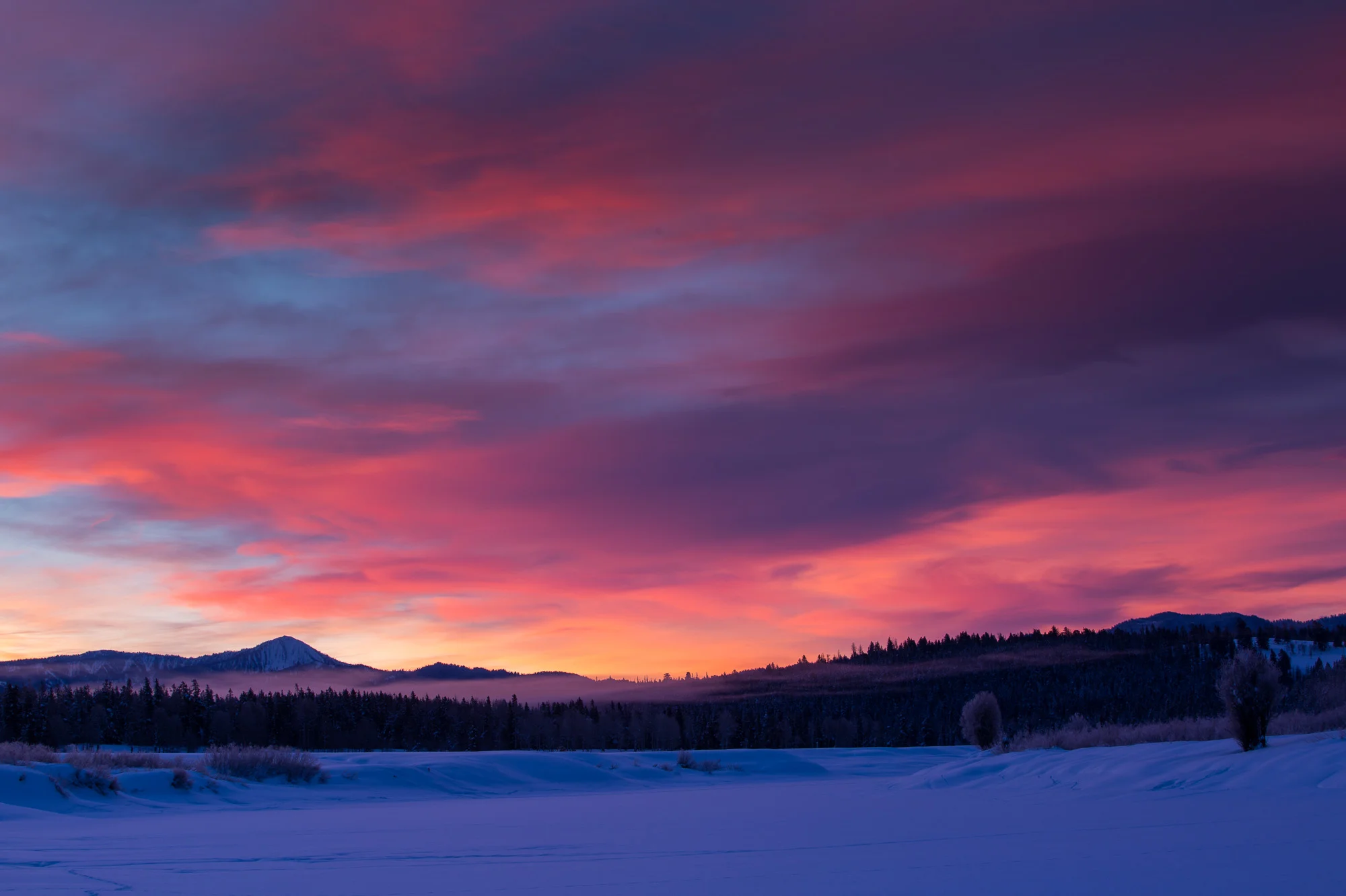 ARS_WY_20160122_1168.jpg