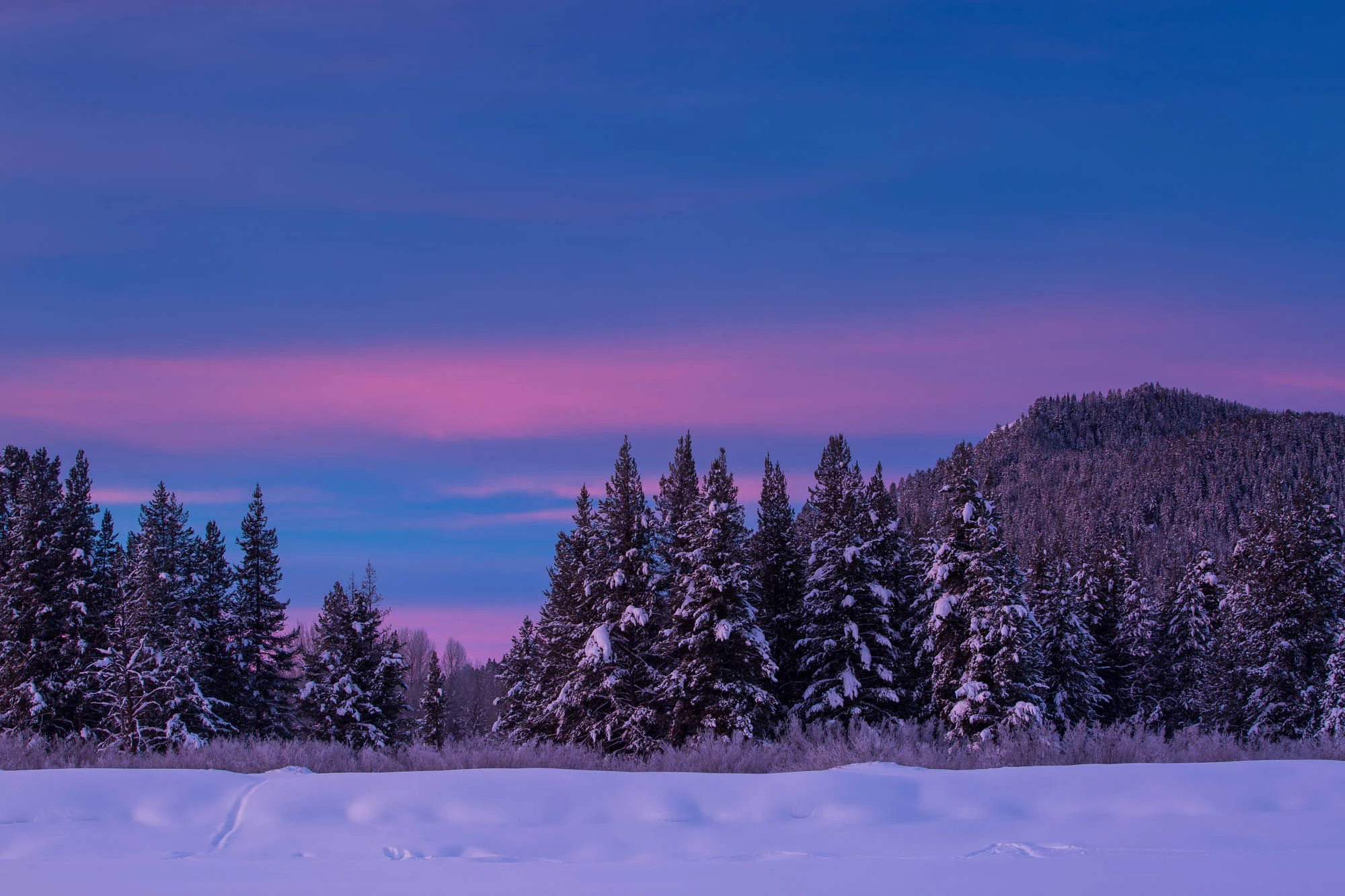 ARS_WY_20160122_1174.jpg