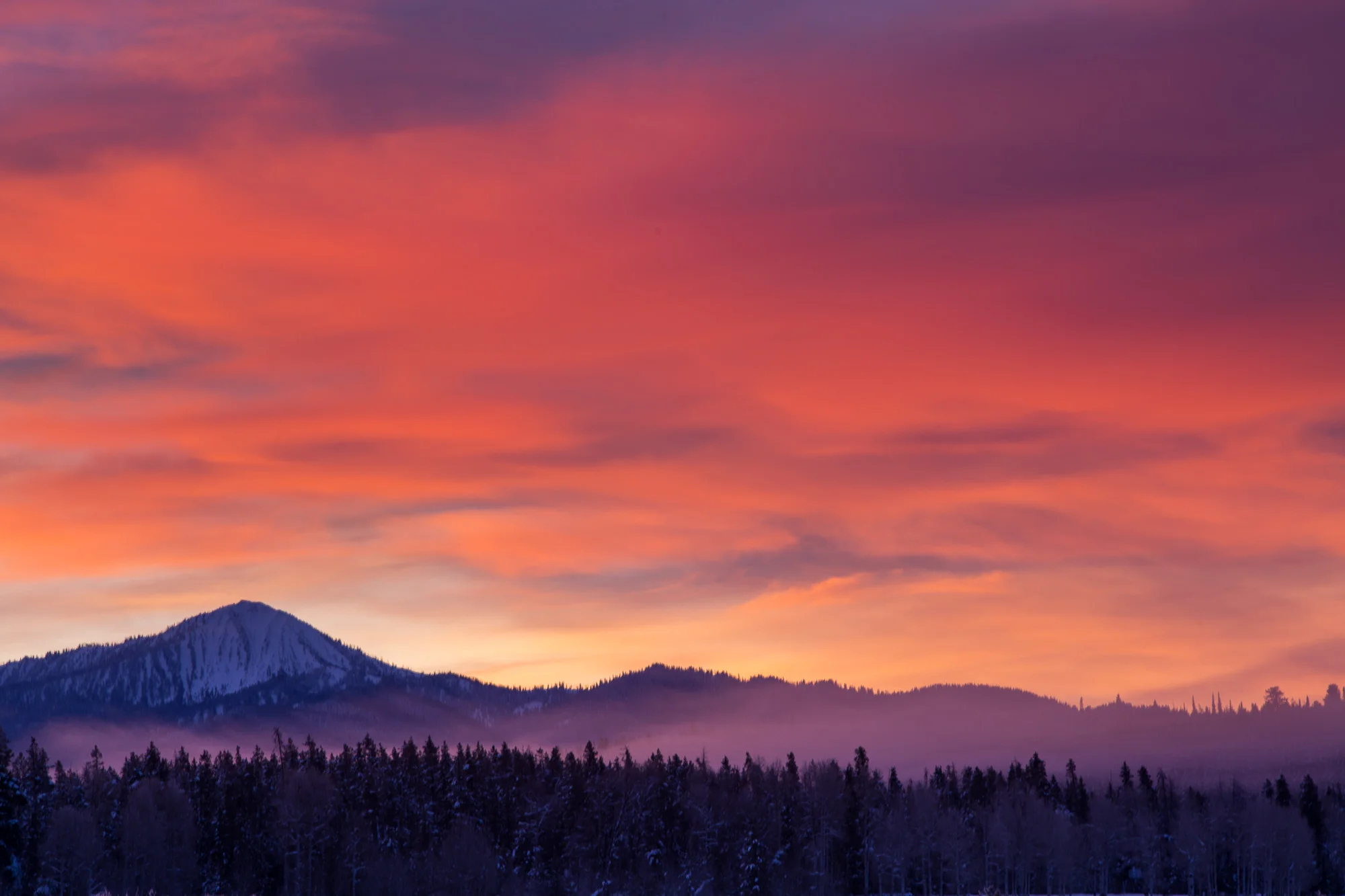 ARS_WY_20160122_1176.jpg