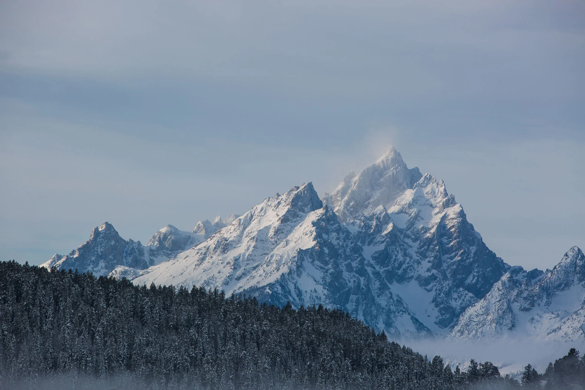 ARS_WY_20160122_1283.jpg