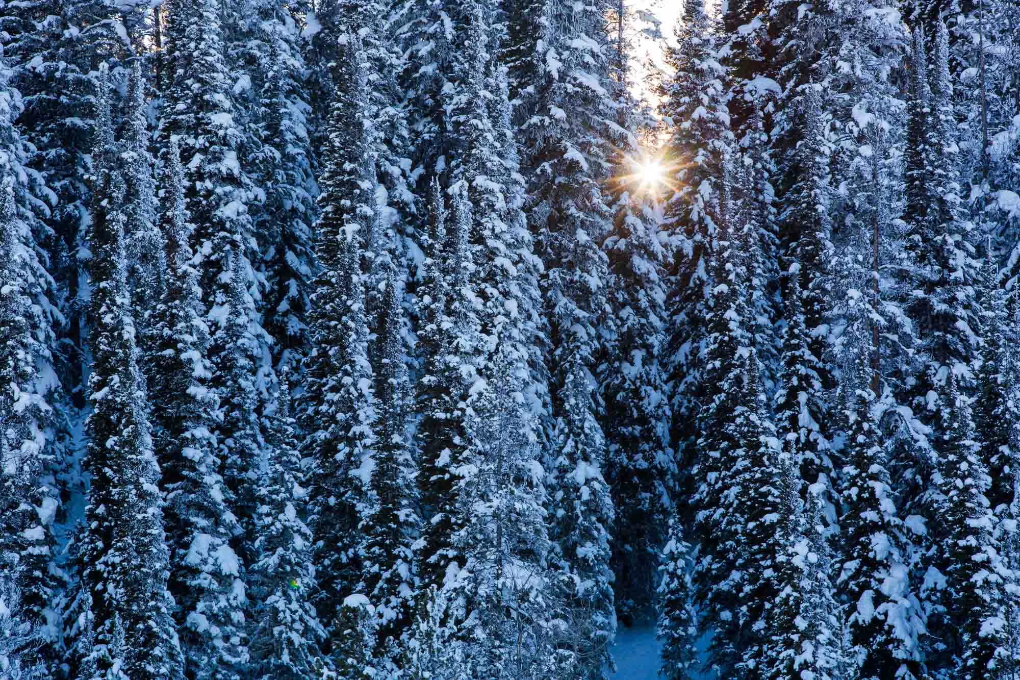 ARS_WY_20160128_2890.jpg