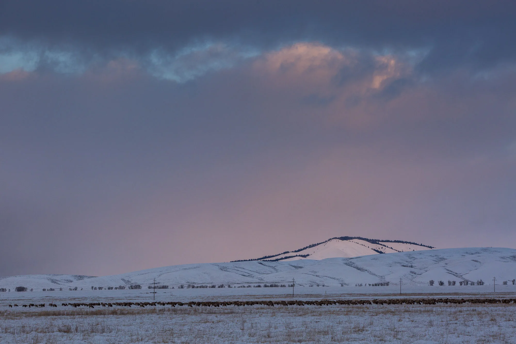 ARS_WY_20160129_2988.jpg