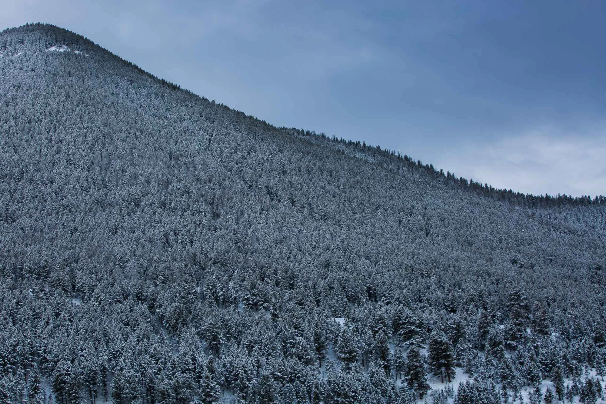 ARS_WY_20160130_3102.jpg