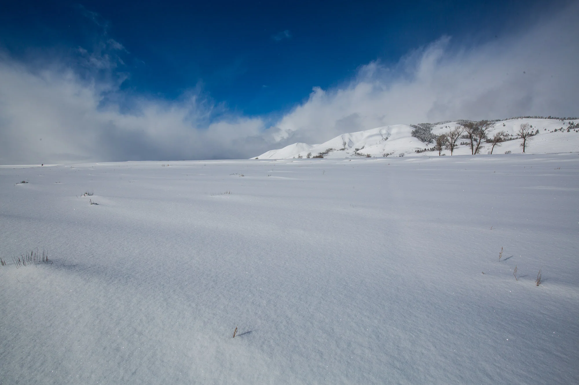 ARS_WY_20160130_2803.jpg