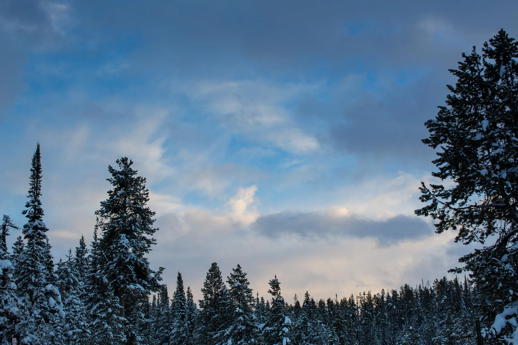 ARS_WY_20160130_3131-2.jpg