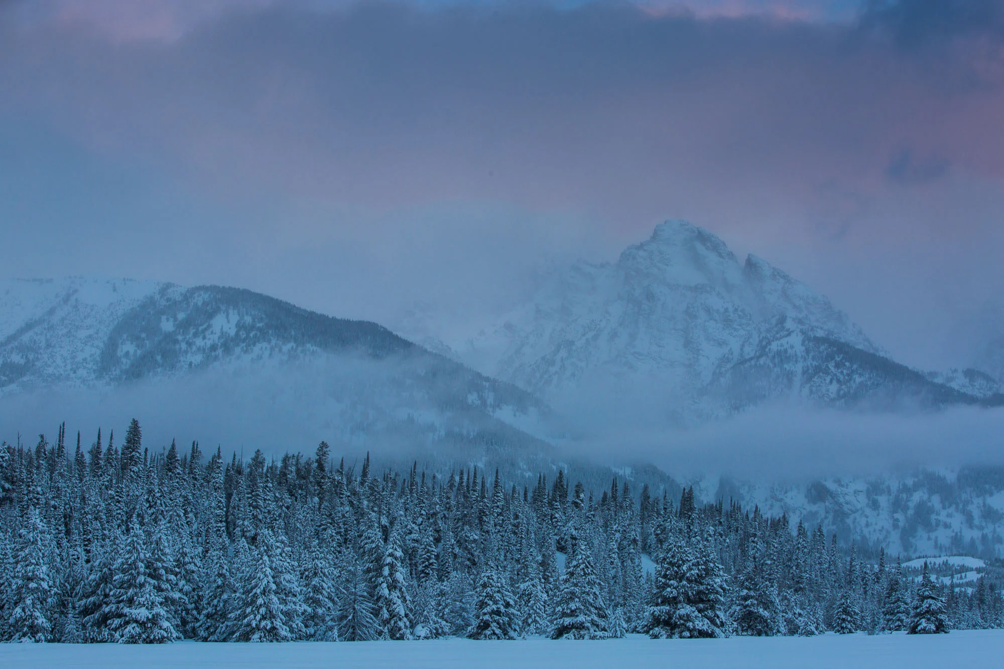ARS_WY_20160131_3974.jpg