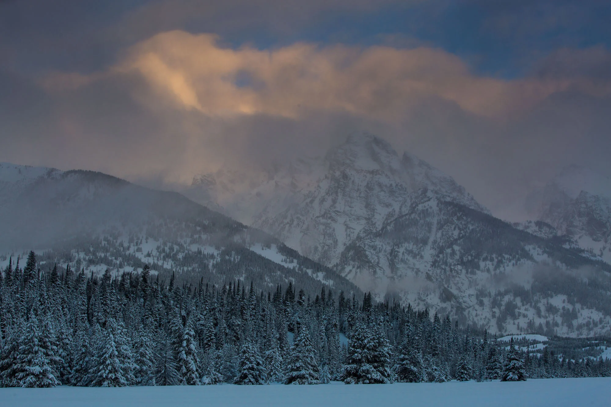 ARS_WY_20160131_4029.jpg