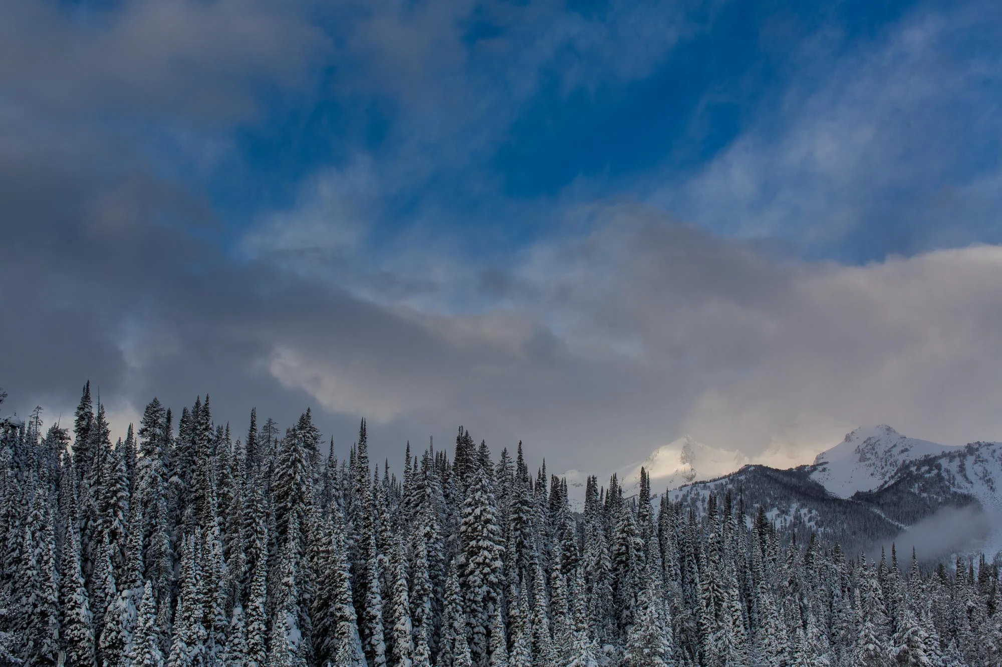 ARS_WY_20160131_3171.jpg