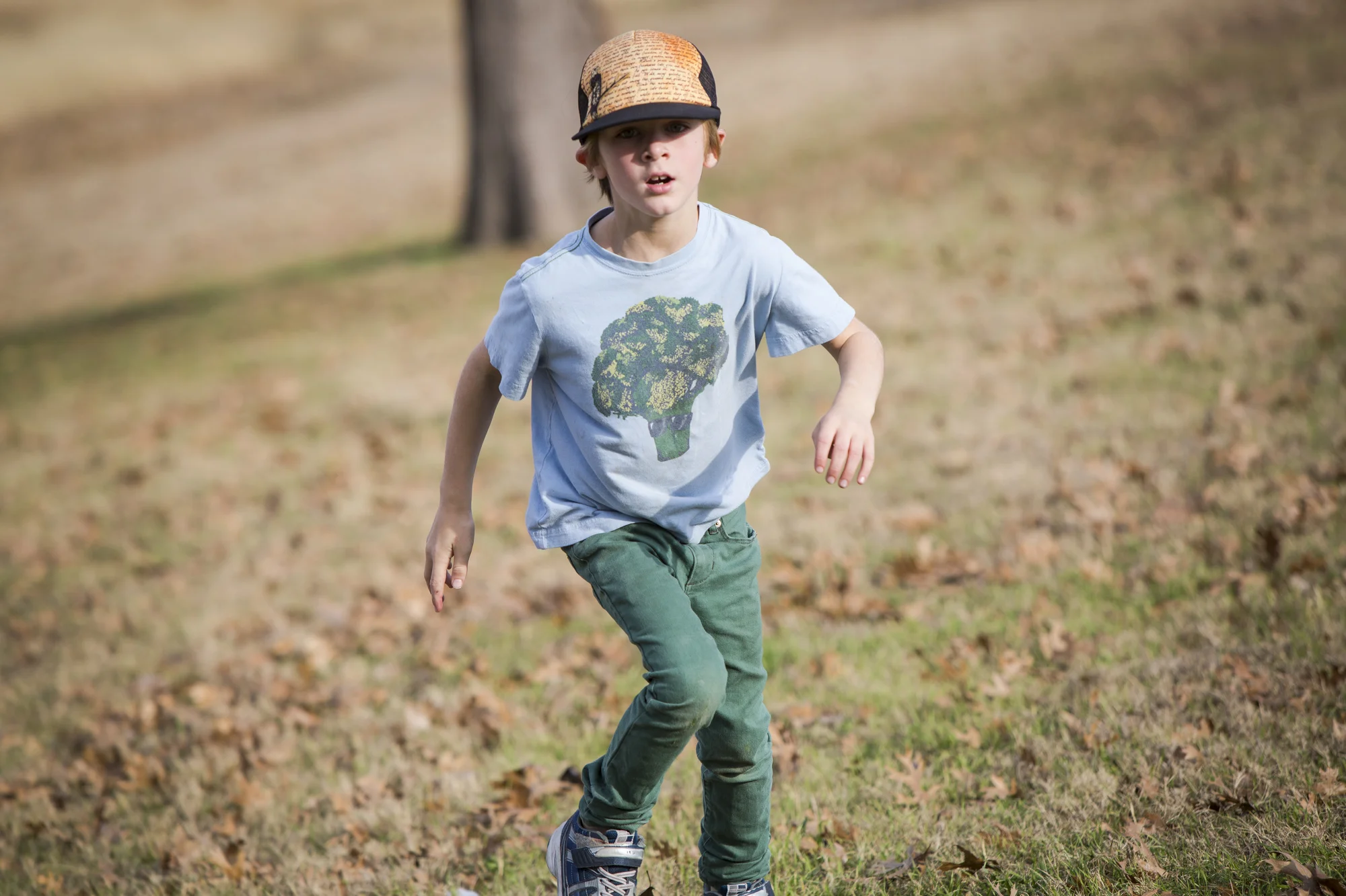 ARS_AMBLER_20161228_2831.jpg