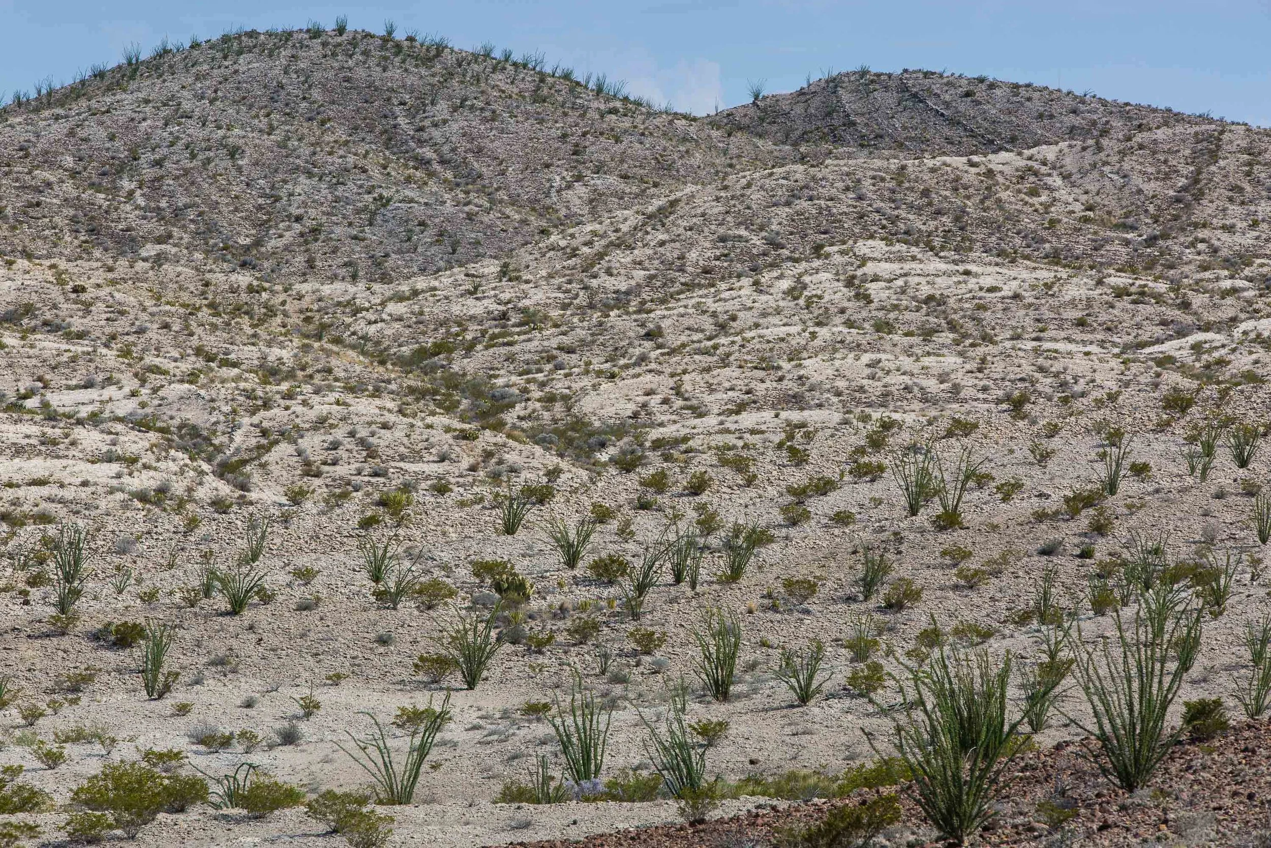 ARS_BBNP_20170615_4677.jpg