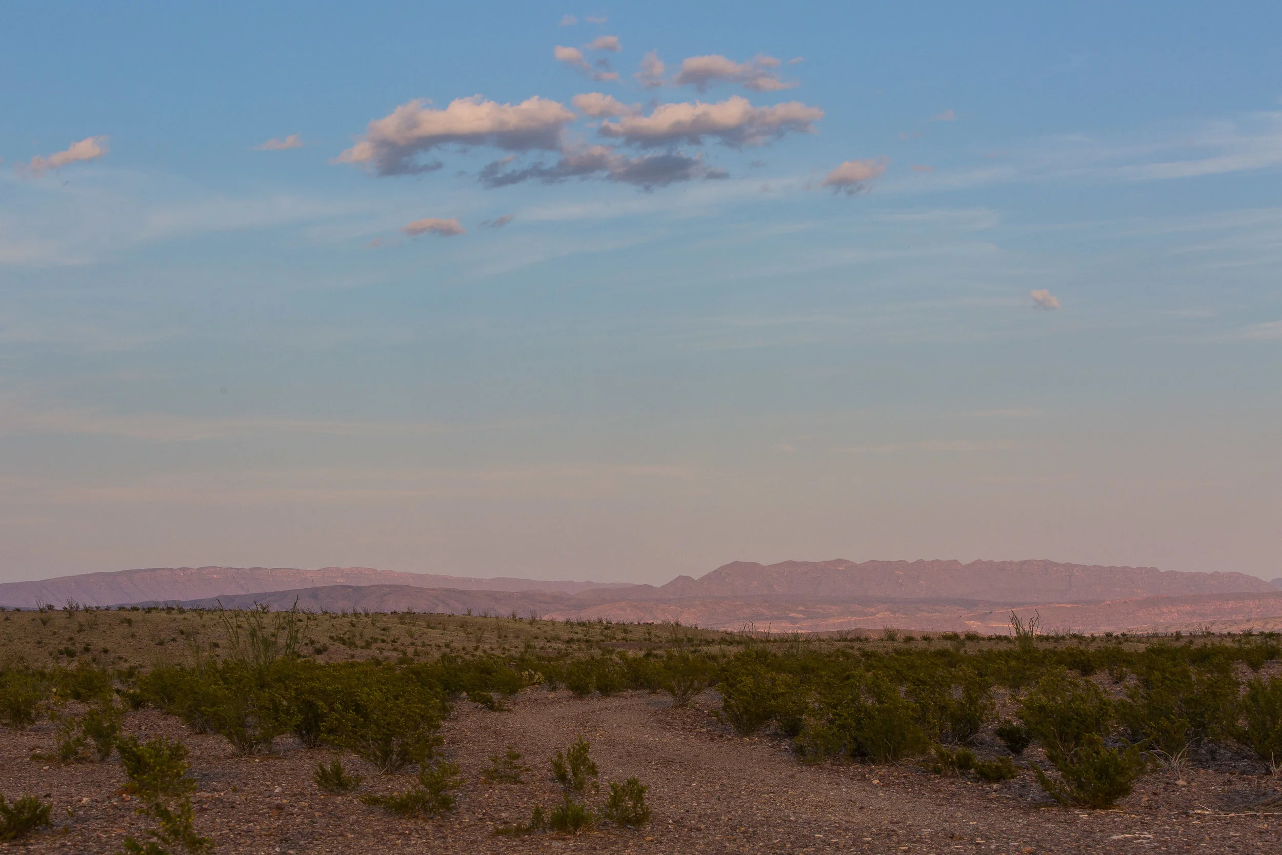 ARS_BBNP_20170615_4712.jpg