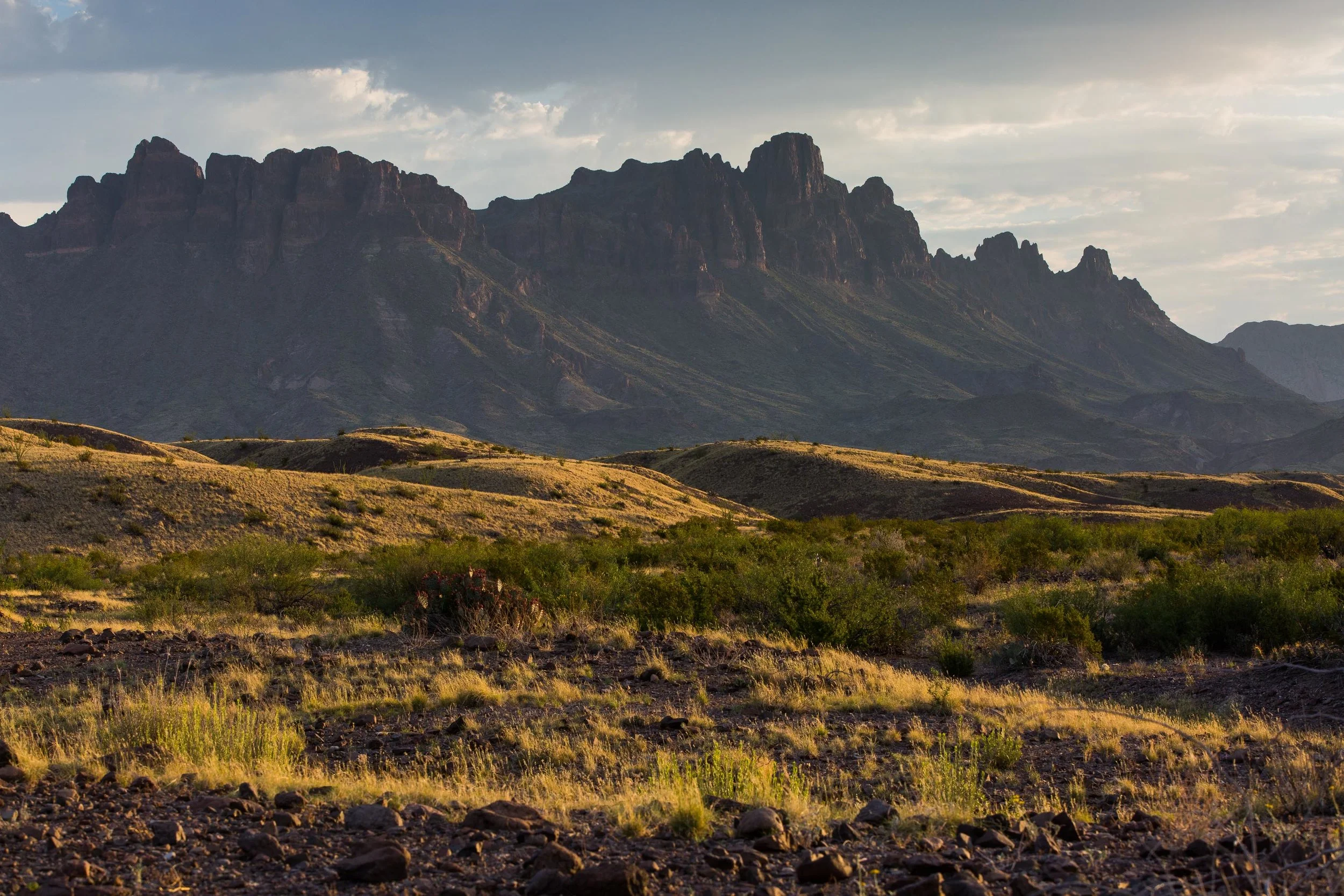 ARS_BBNP_20170616_4874.jpg