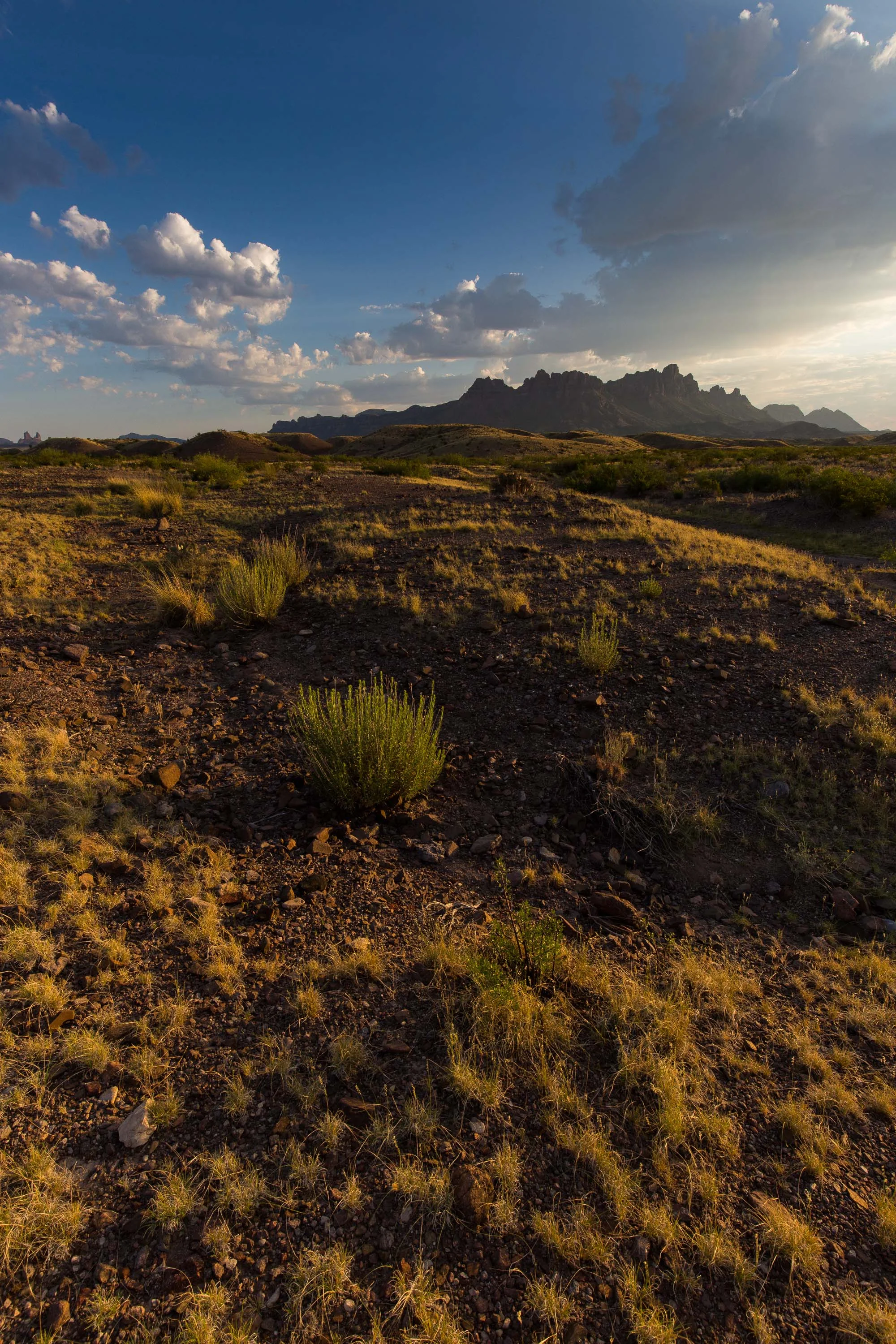 ARS_BBNP_20170616_4876.jpg