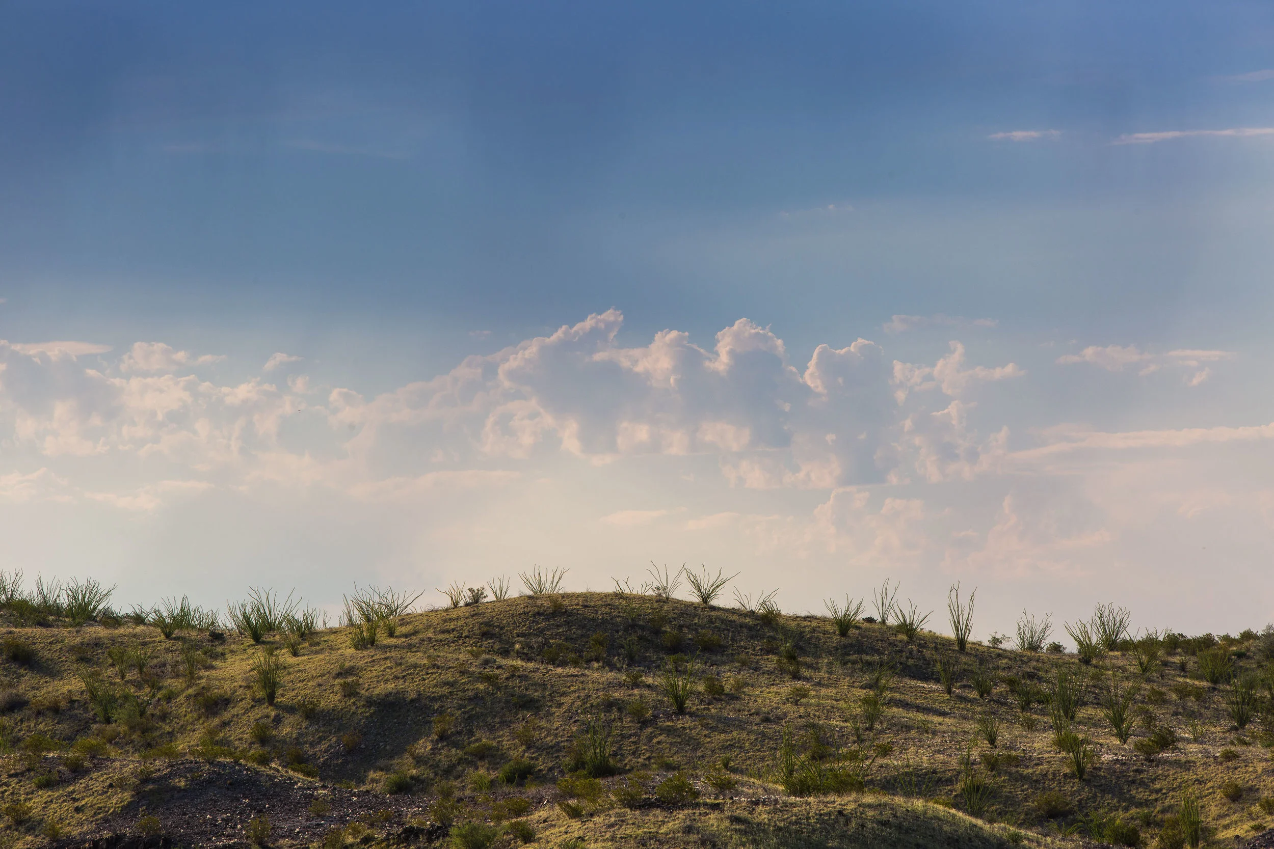 ARS_BBNP_20170616_4945.jpg