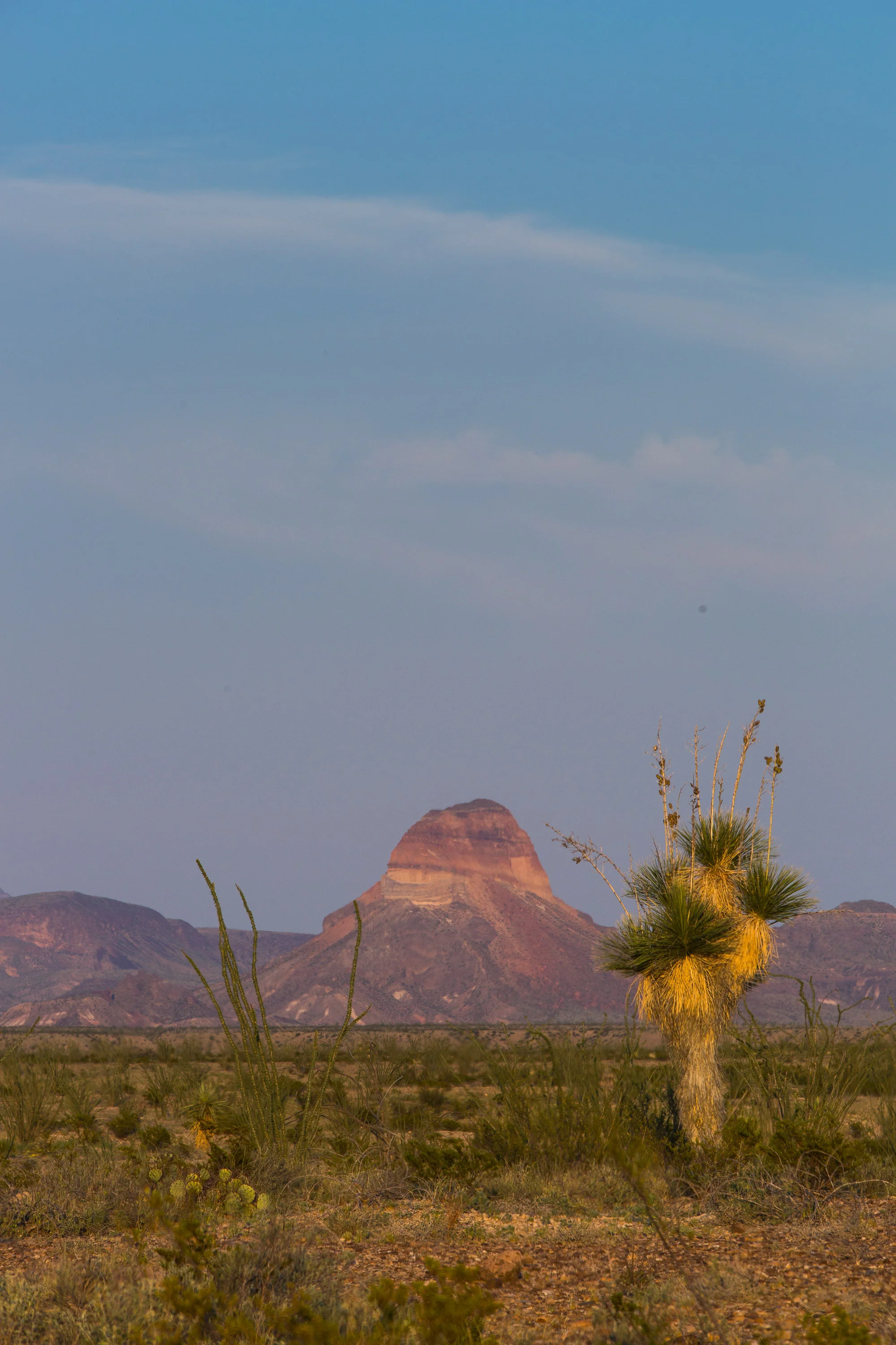 ARS_BBNP_20170617_5158.jpg