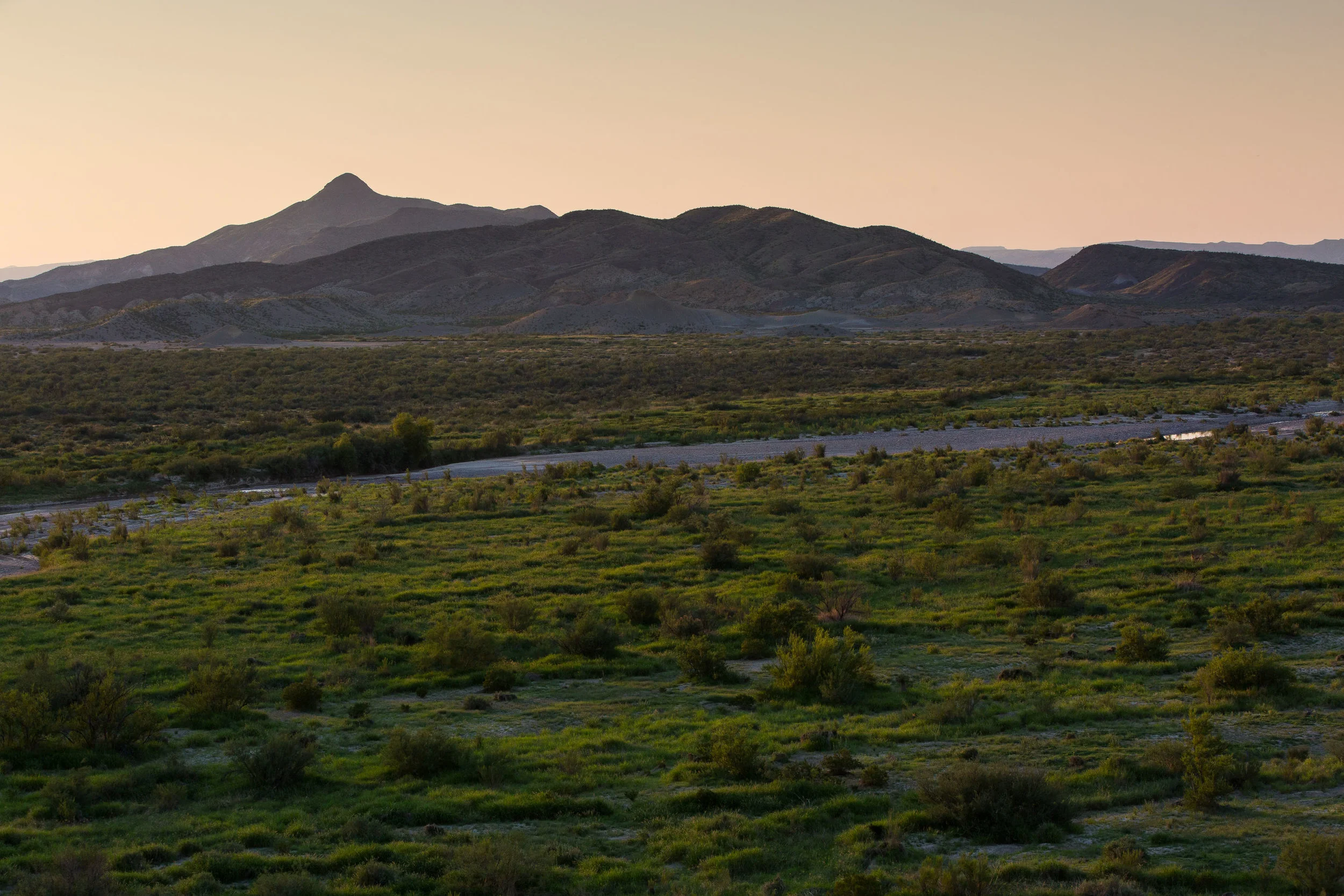 ARS_BBNP_20170617_5164.jpg