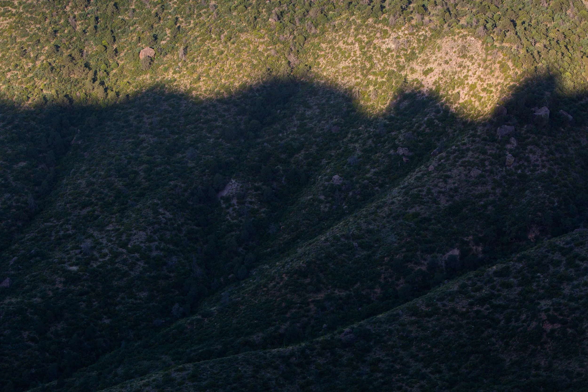 ARS_BBNP_20170618_5320.jpg
