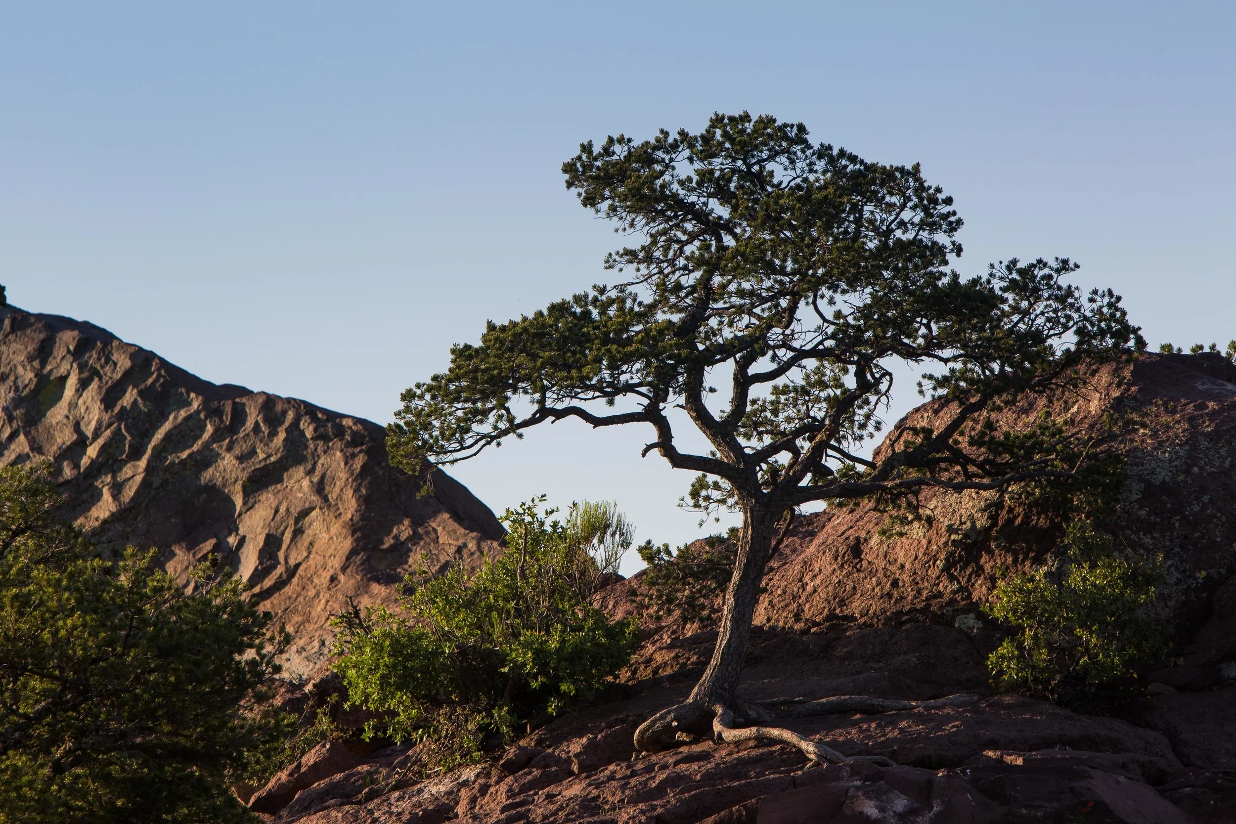 ARS_BBNP_20170618_5321.jpg