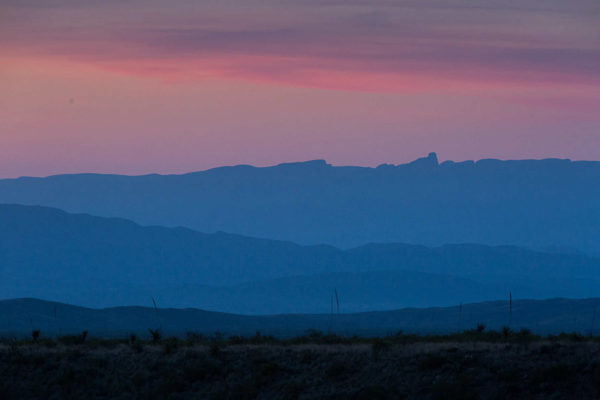 ARS_BBNP_20170619_5748.jpg
