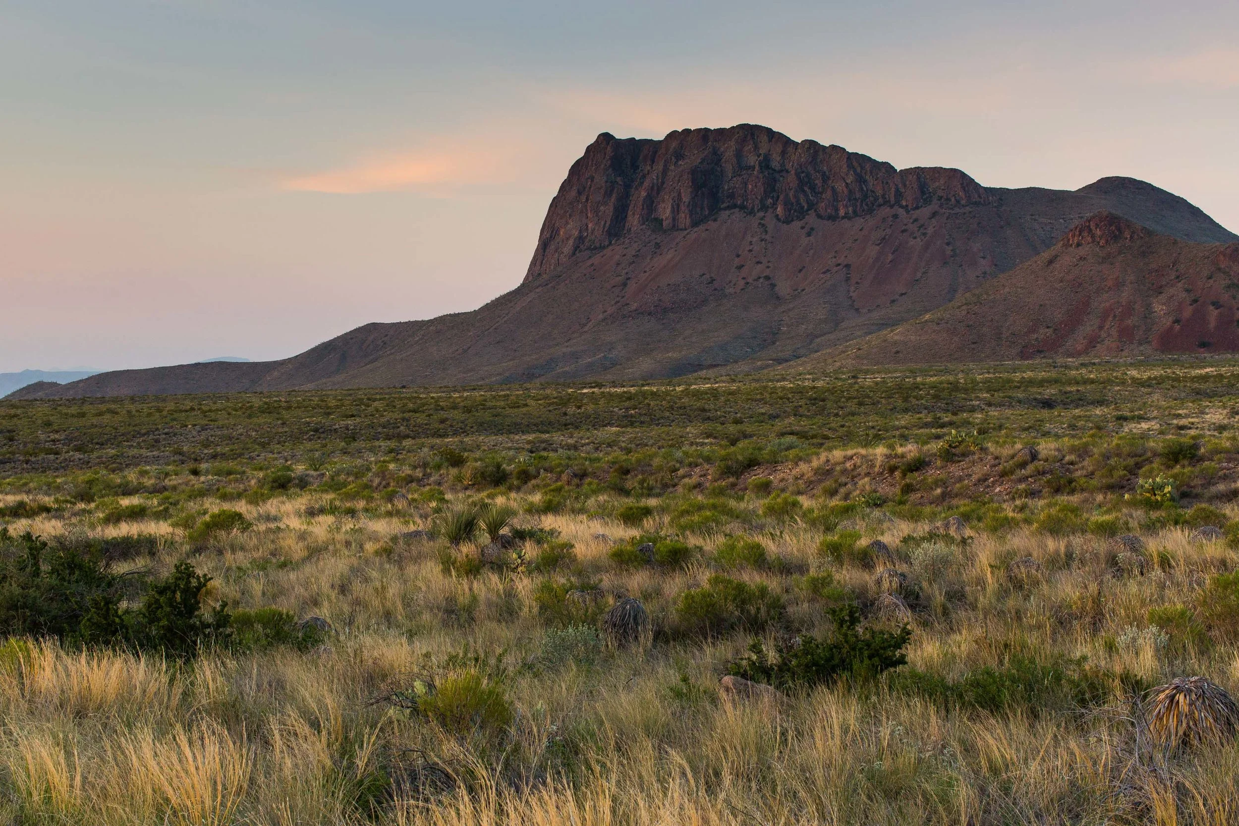 ARS_BBNP_20170619_5800.jpg