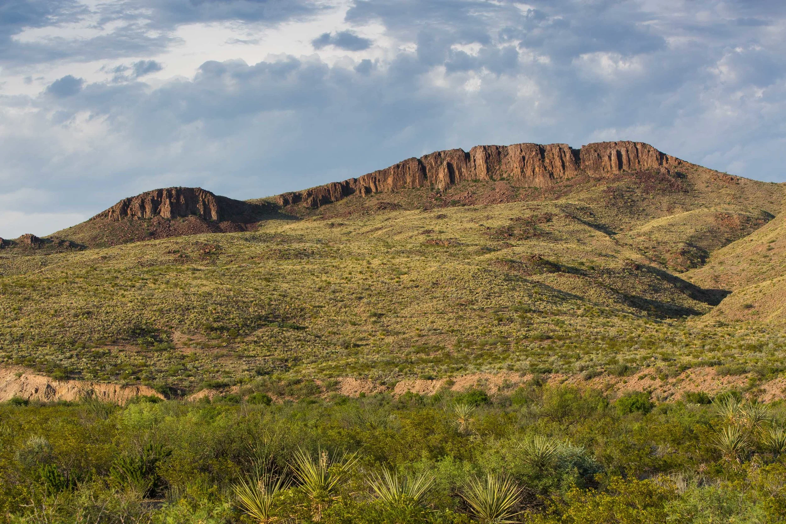 ARS_BBNP_20170616_5009.jpg