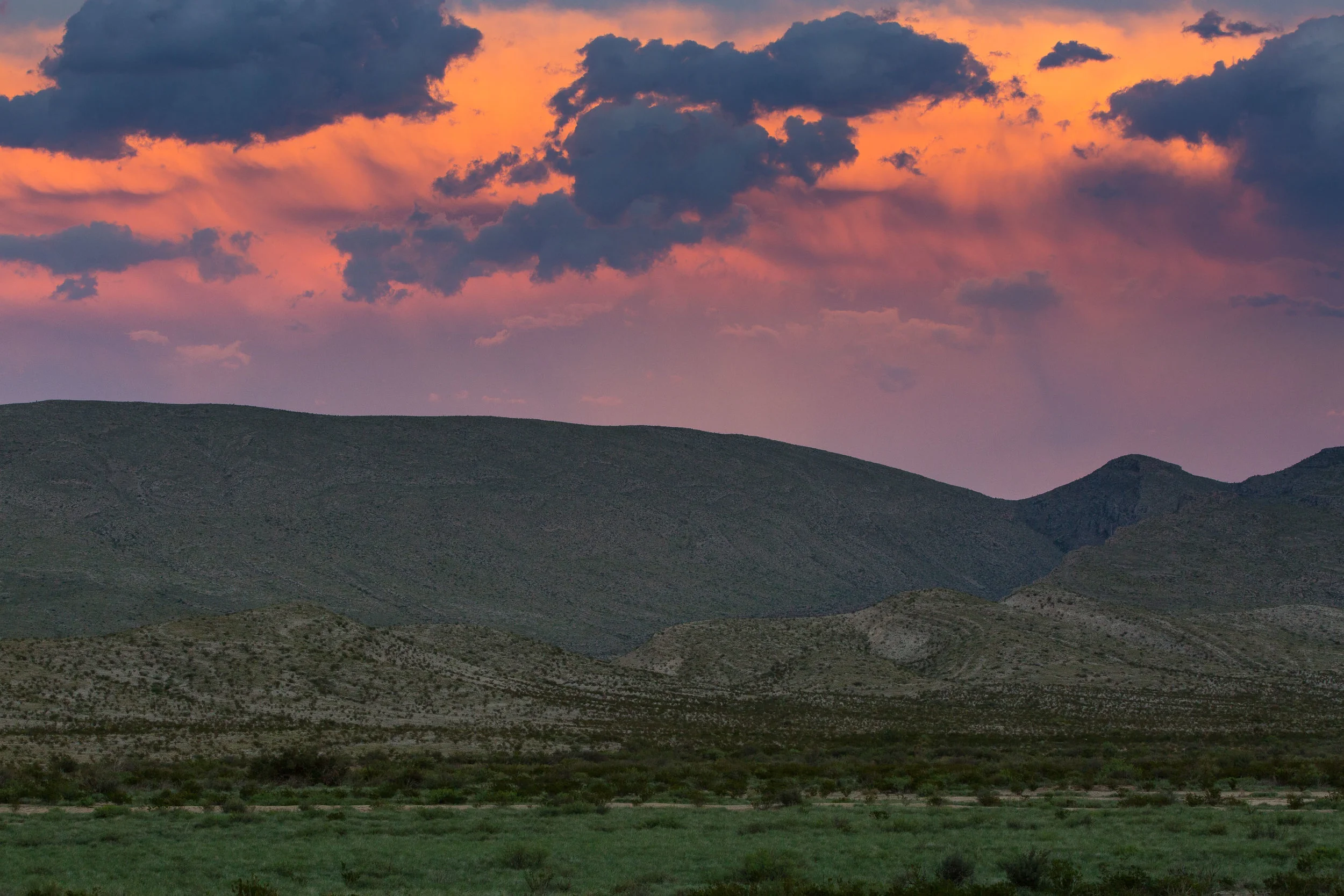 ARS_BBNP_20170616_5031.jpg
