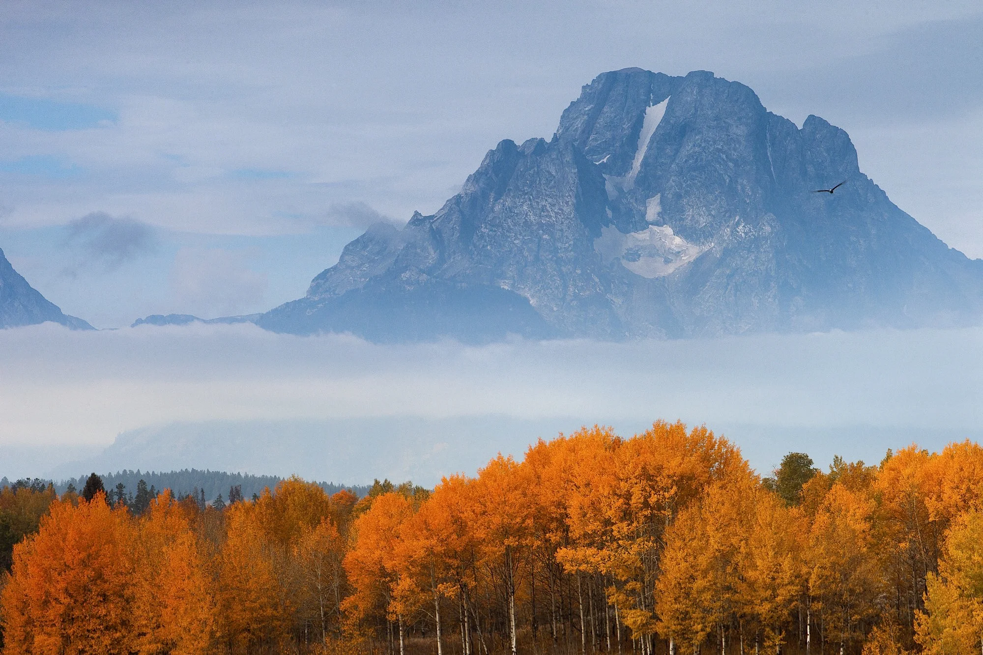025_PORTFOLIO_ARS_WY_20120925_0509.jpg