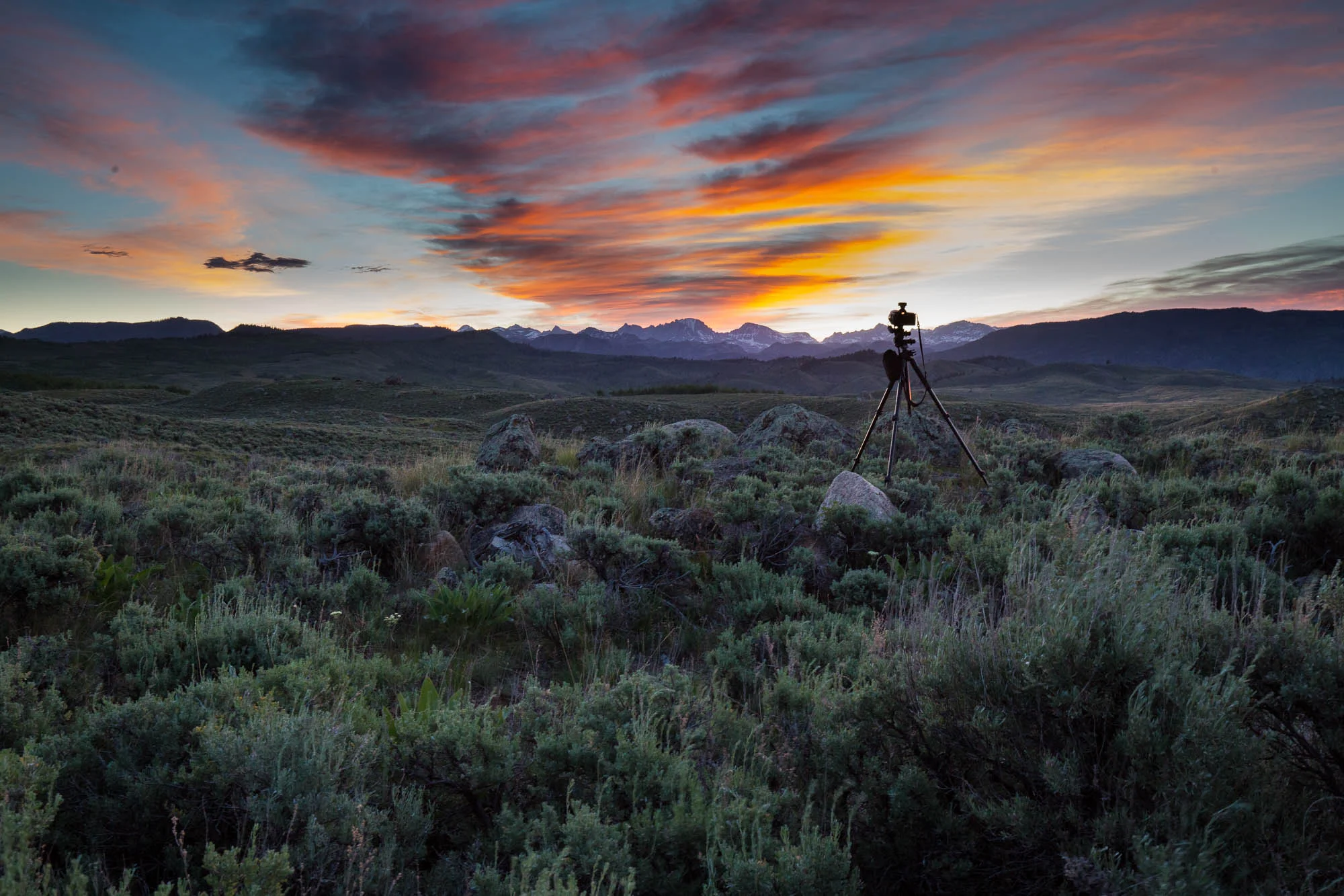 083_PORTFOLIO_ARS_WY_160619_1009.jpg
