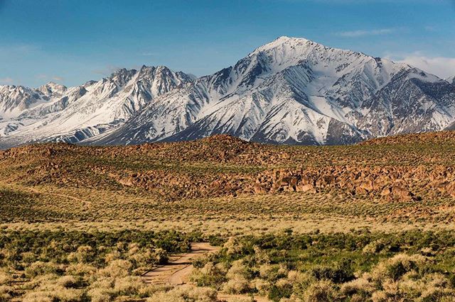 It is spring in the deserts of the eastern Sierra; the mountains retain massive amounts of snow, but the temps down here are hitting the mid 80’s and everything’s green. I caught a sidewinder rattler not 10 feet away from camp this morning. Lizards scurry about in the midday. We watch the distant storms roll gently across the valley. These endless dirt roads could keep my attention for decades. It’s sublime. #bishopca #nomadlife #ontheroad