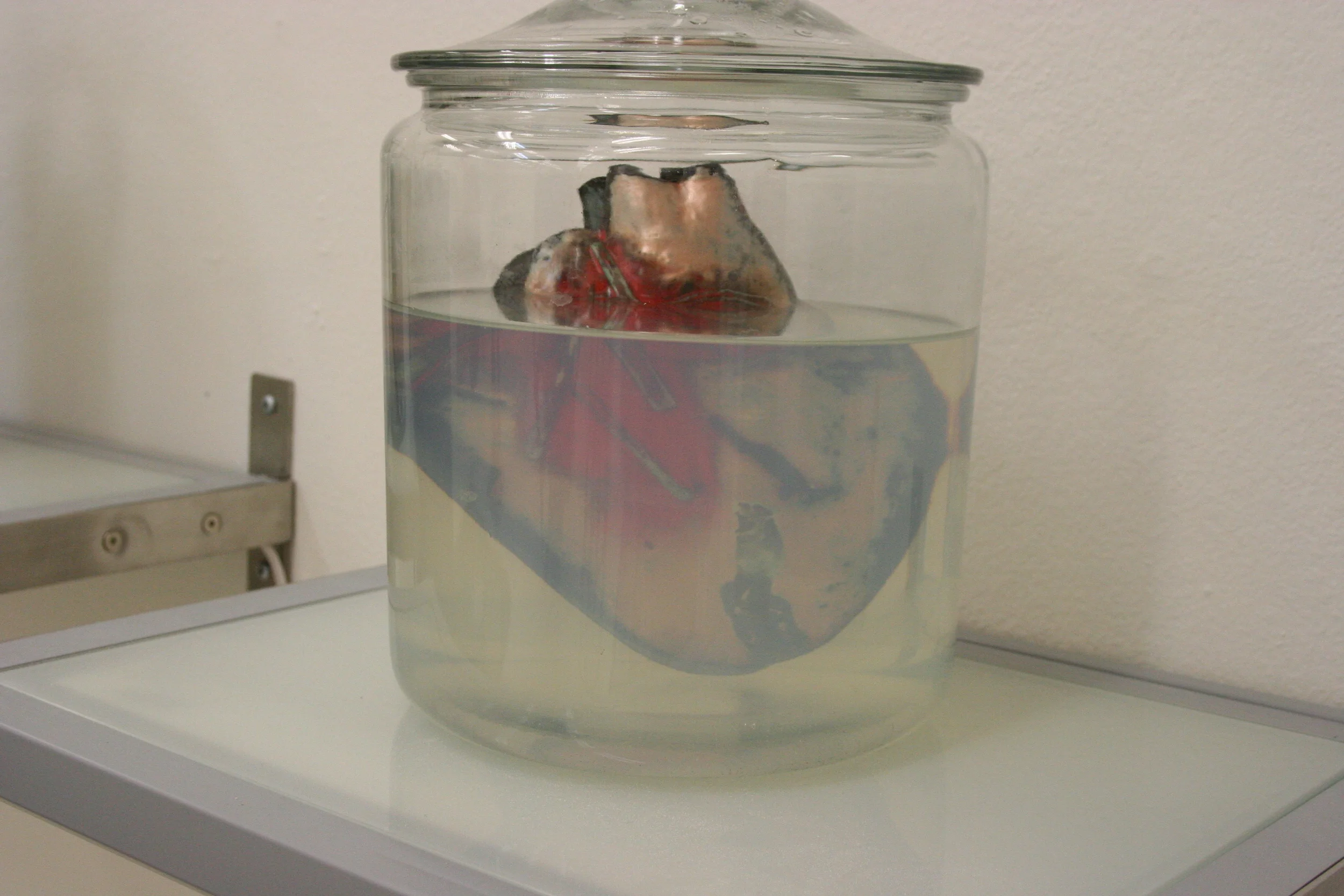 spring07+014-2199374450-O.jpg