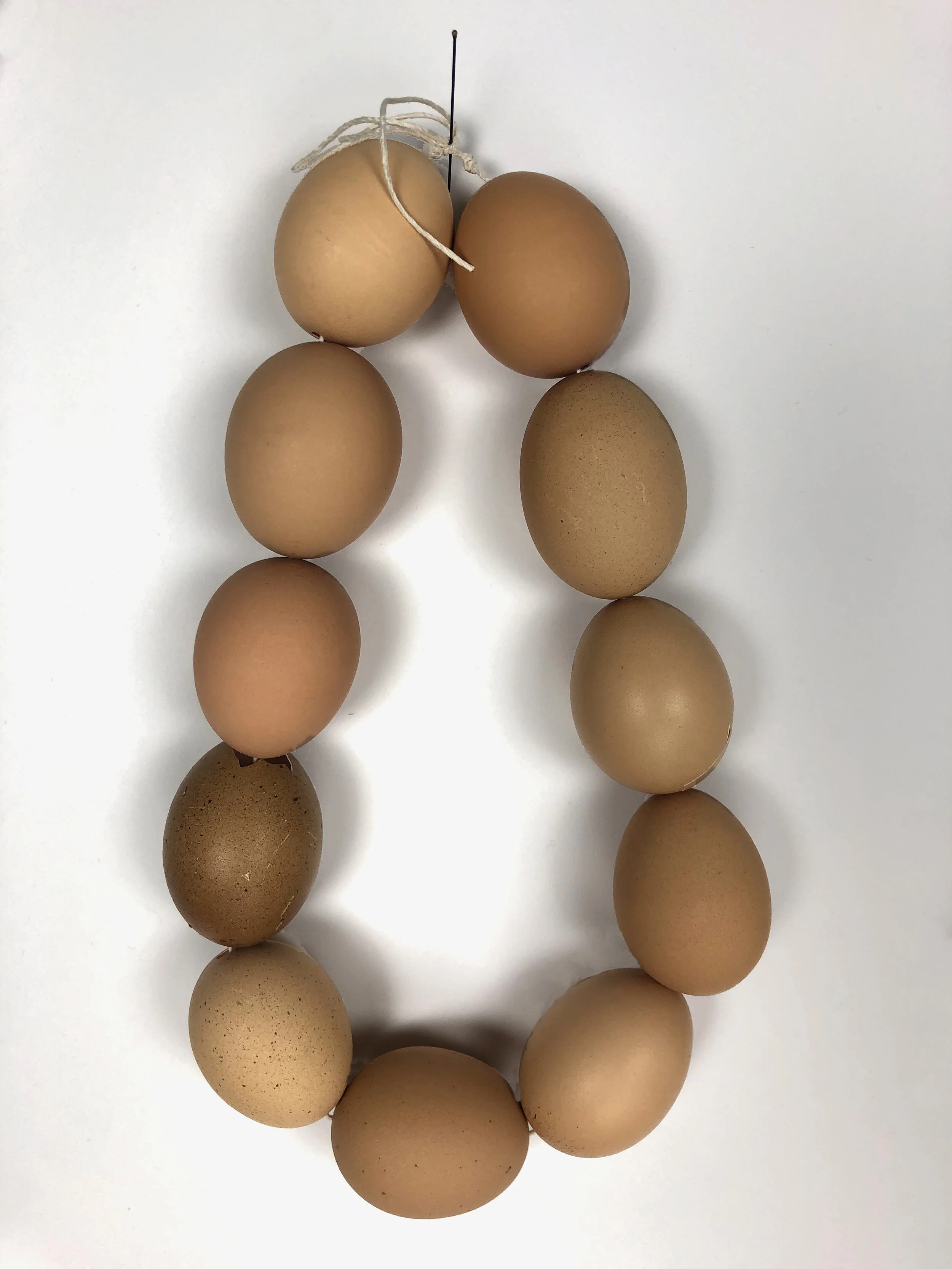 Transitions detail 1 .jpg