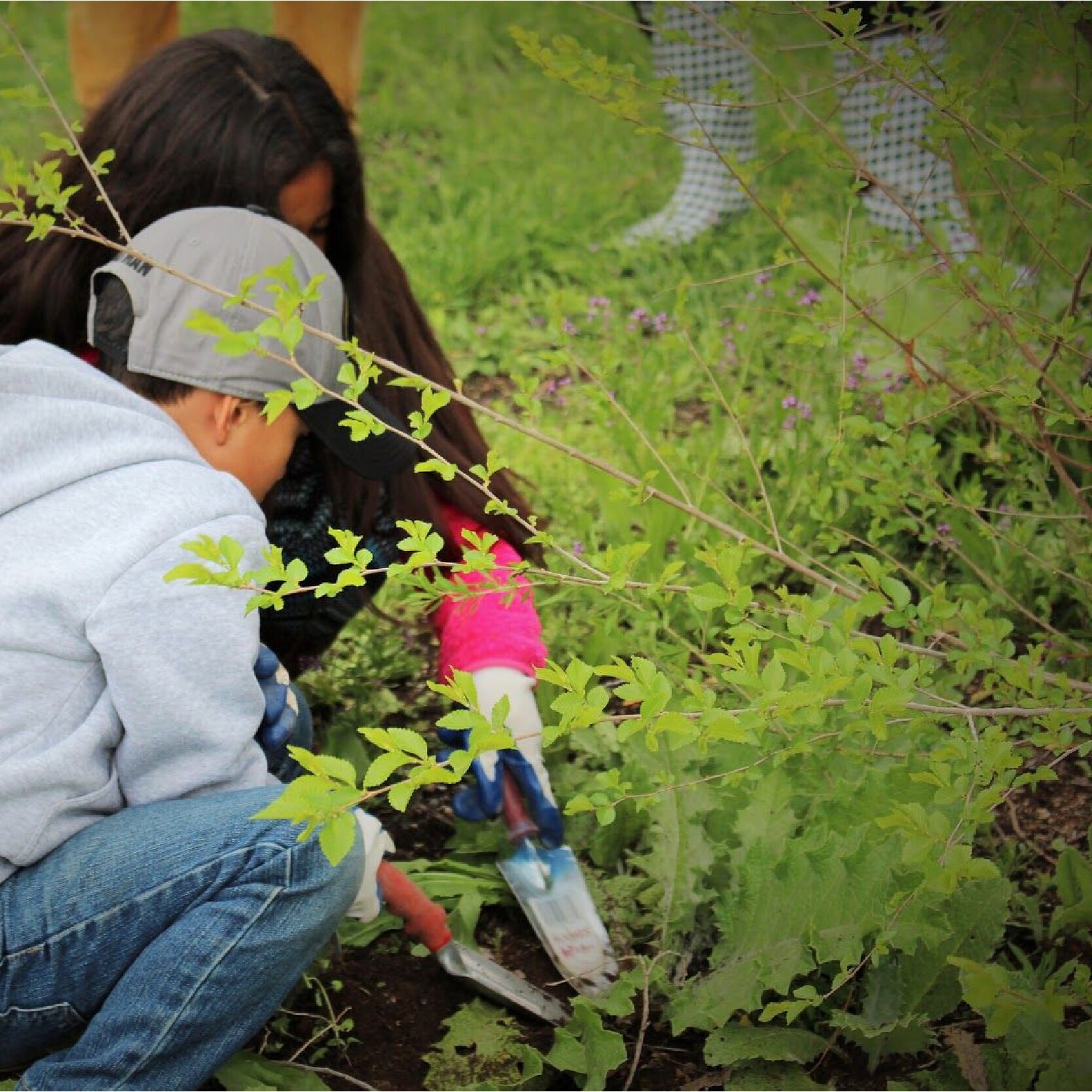 Children+Remove+Scotch+Thistle+at+Three+Creeks+Confluence+Volunteer+Event.jpg