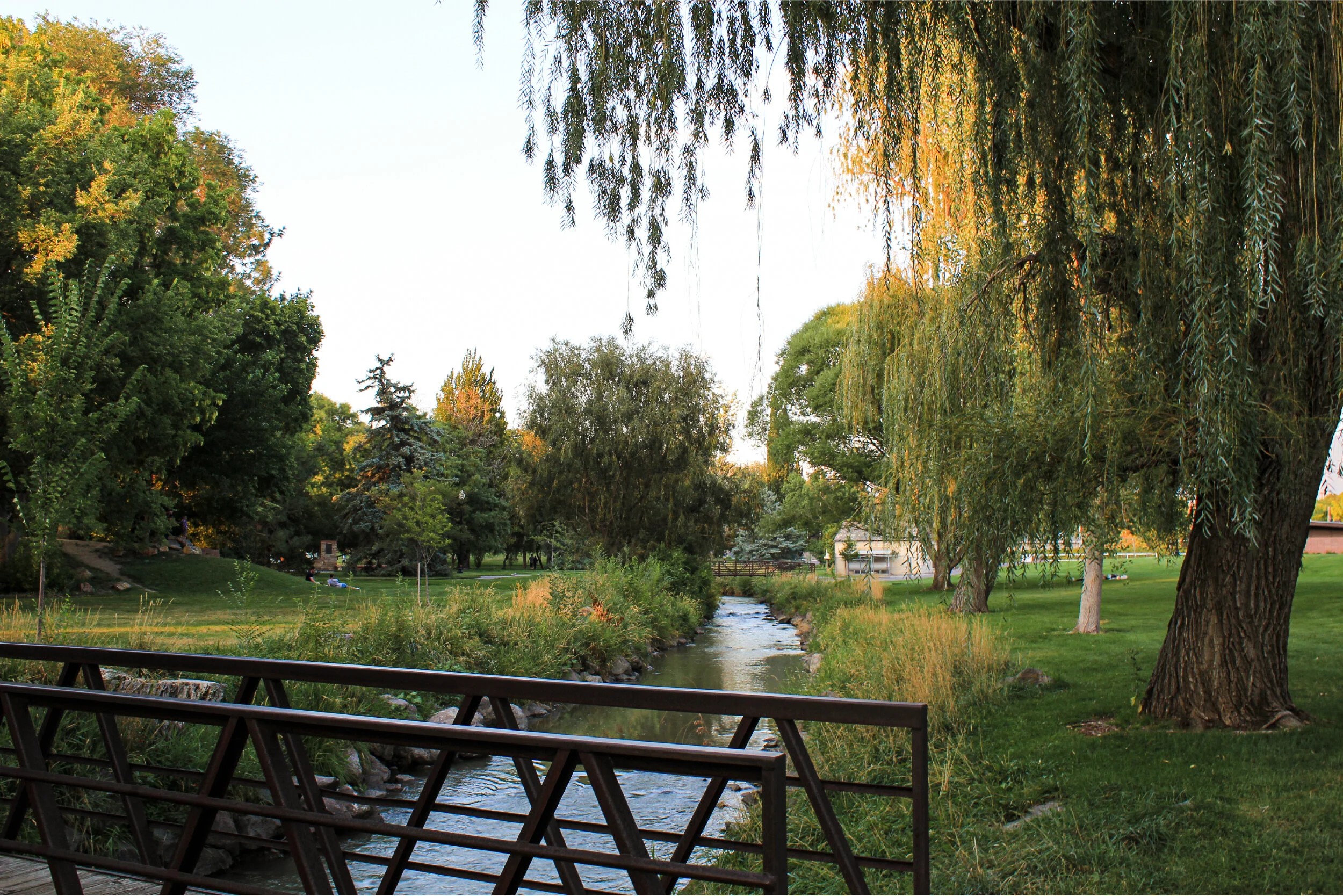 Celebrating Cities through an Urban Ecological lens