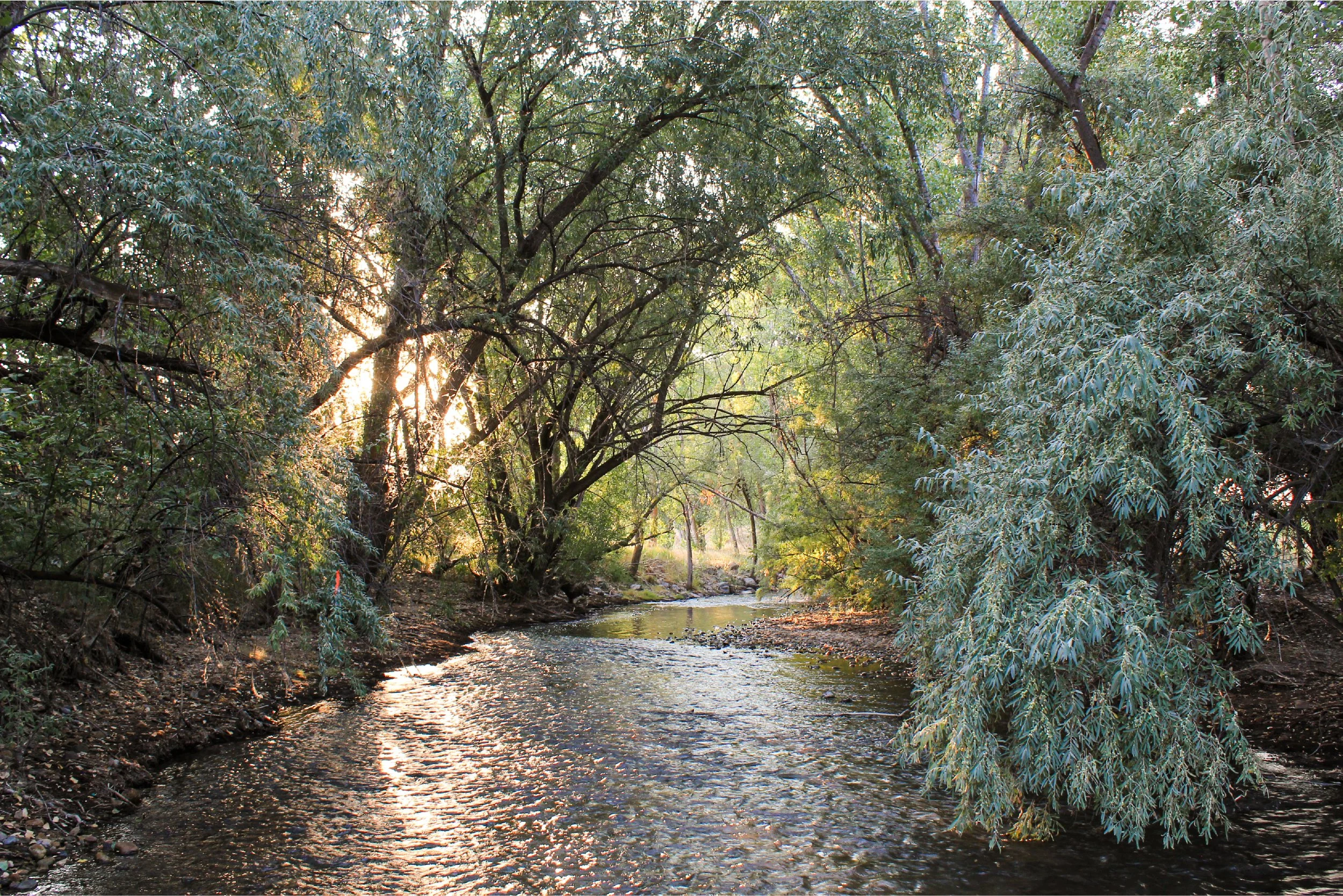 Recreation Opportunity Walk