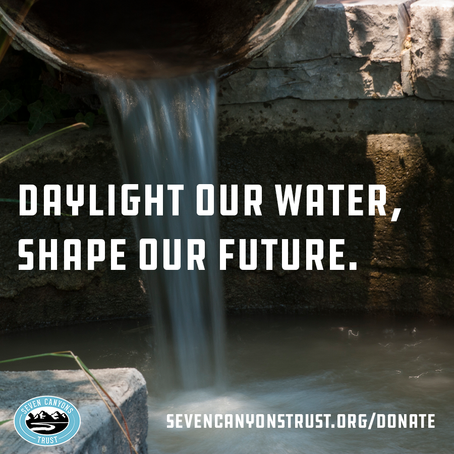Online Year End of Year Fundraiser