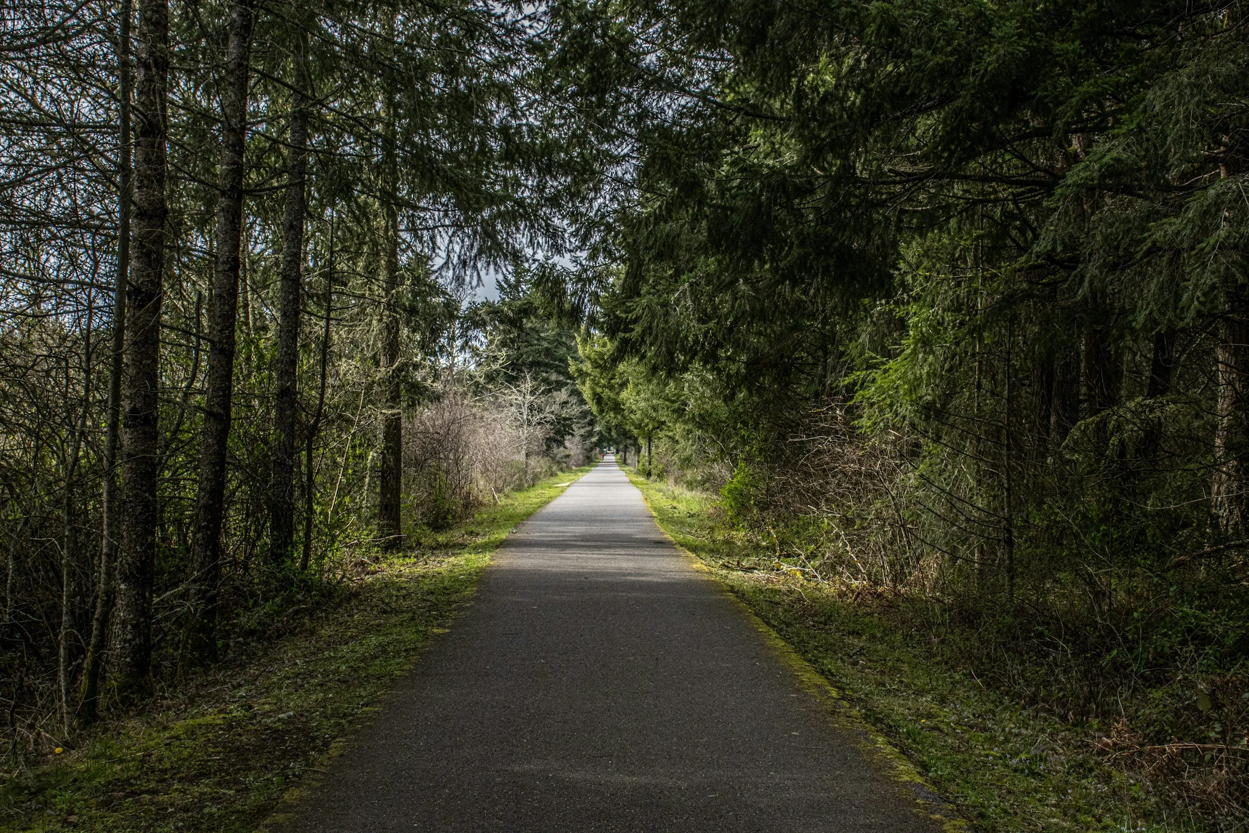 How Green Infrastructure Can Mitigate Water Pollution