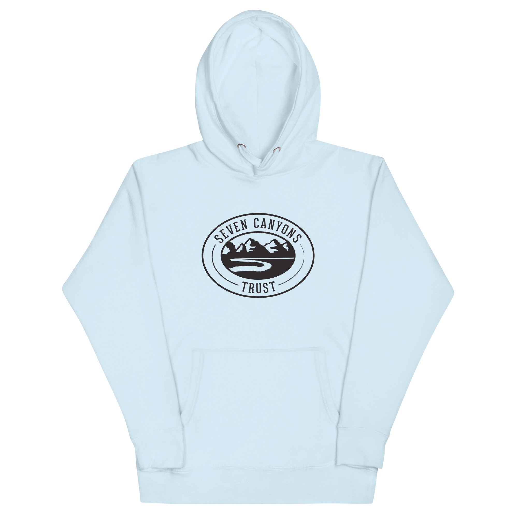 unisex-premium-hoodie-sky-blue-front-687955b3acaa8.jpg