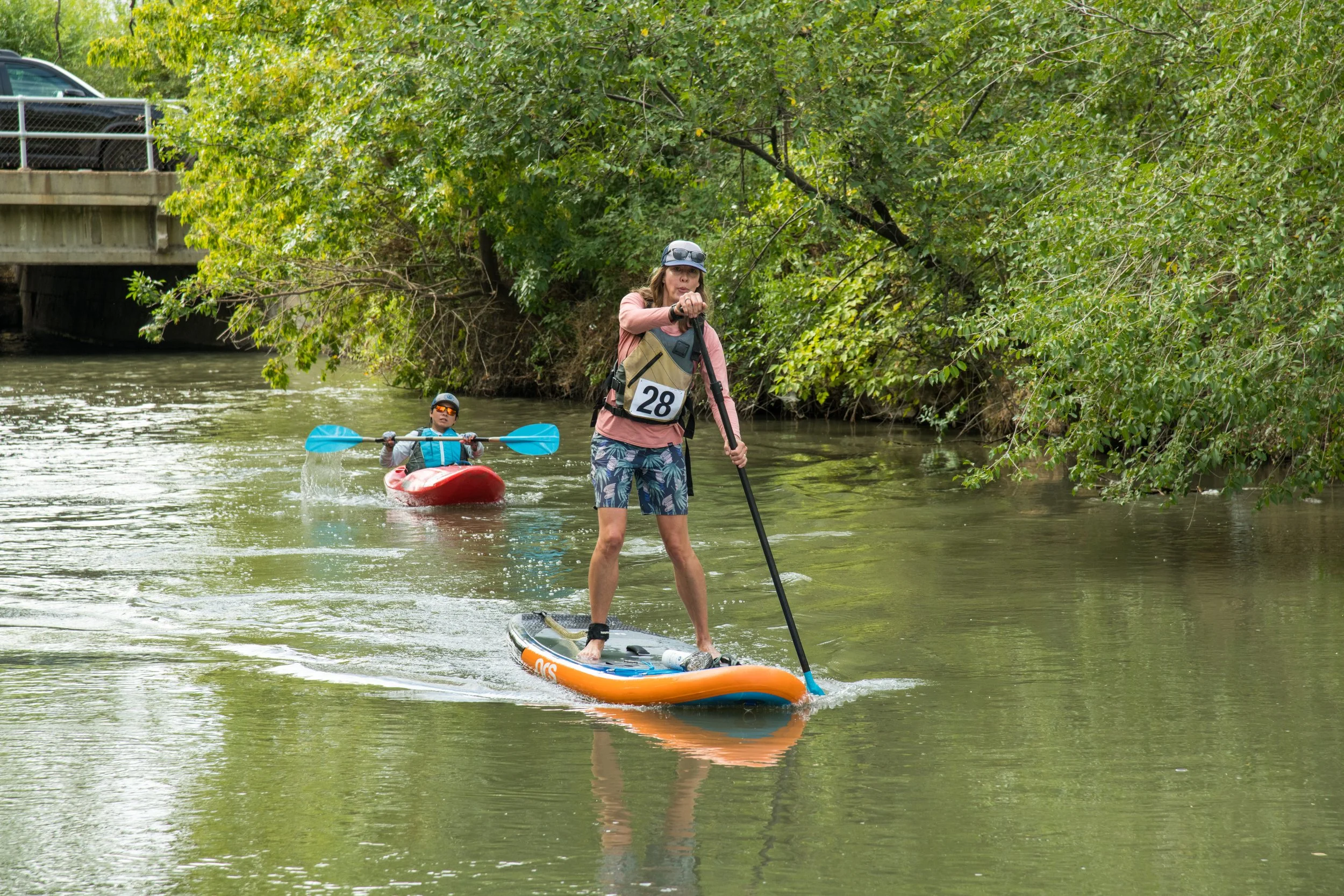 DSC_7395.jpg