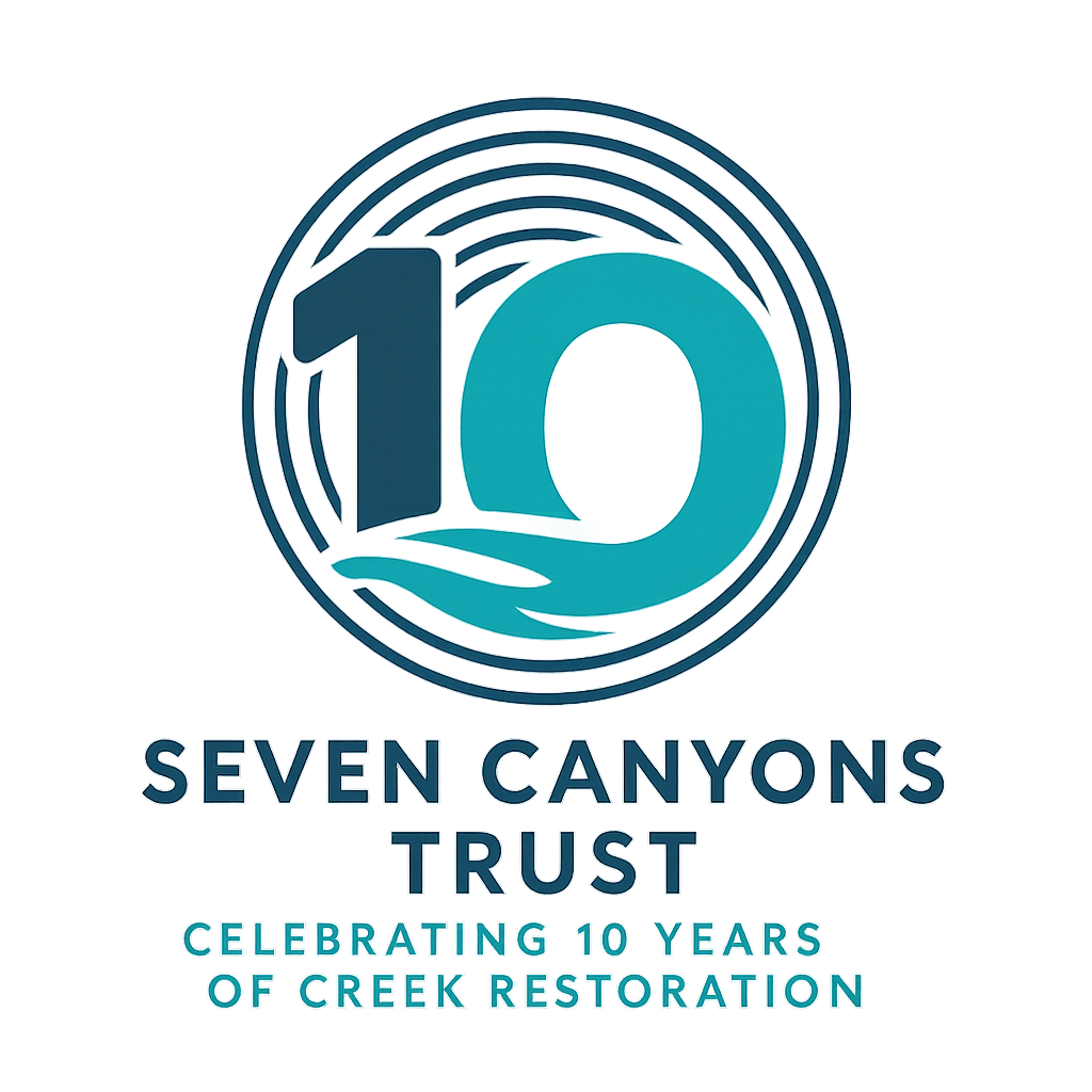 Ten Years of Choosing to See